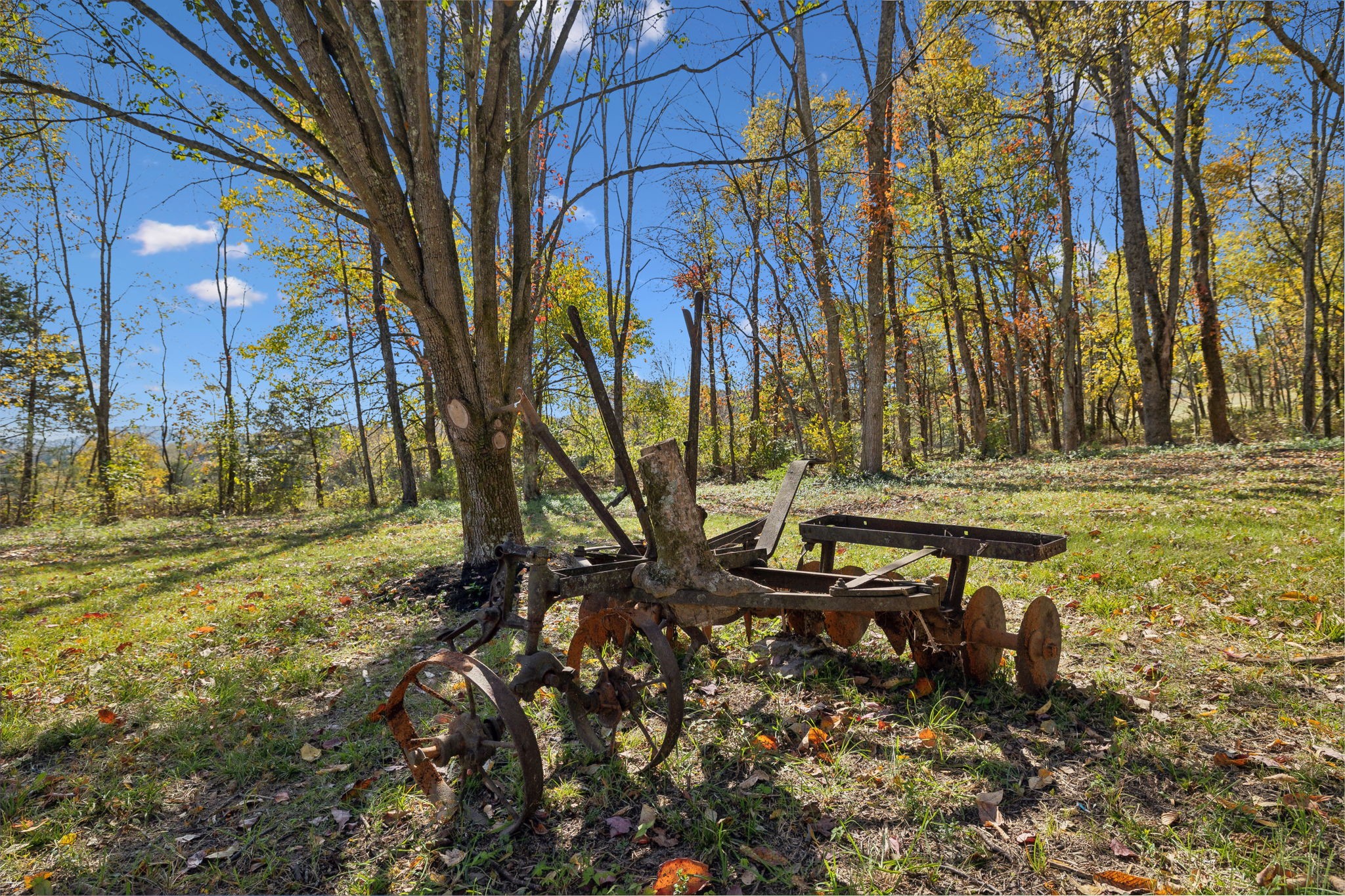 480 Beech Bottom Rd Property Photo 42