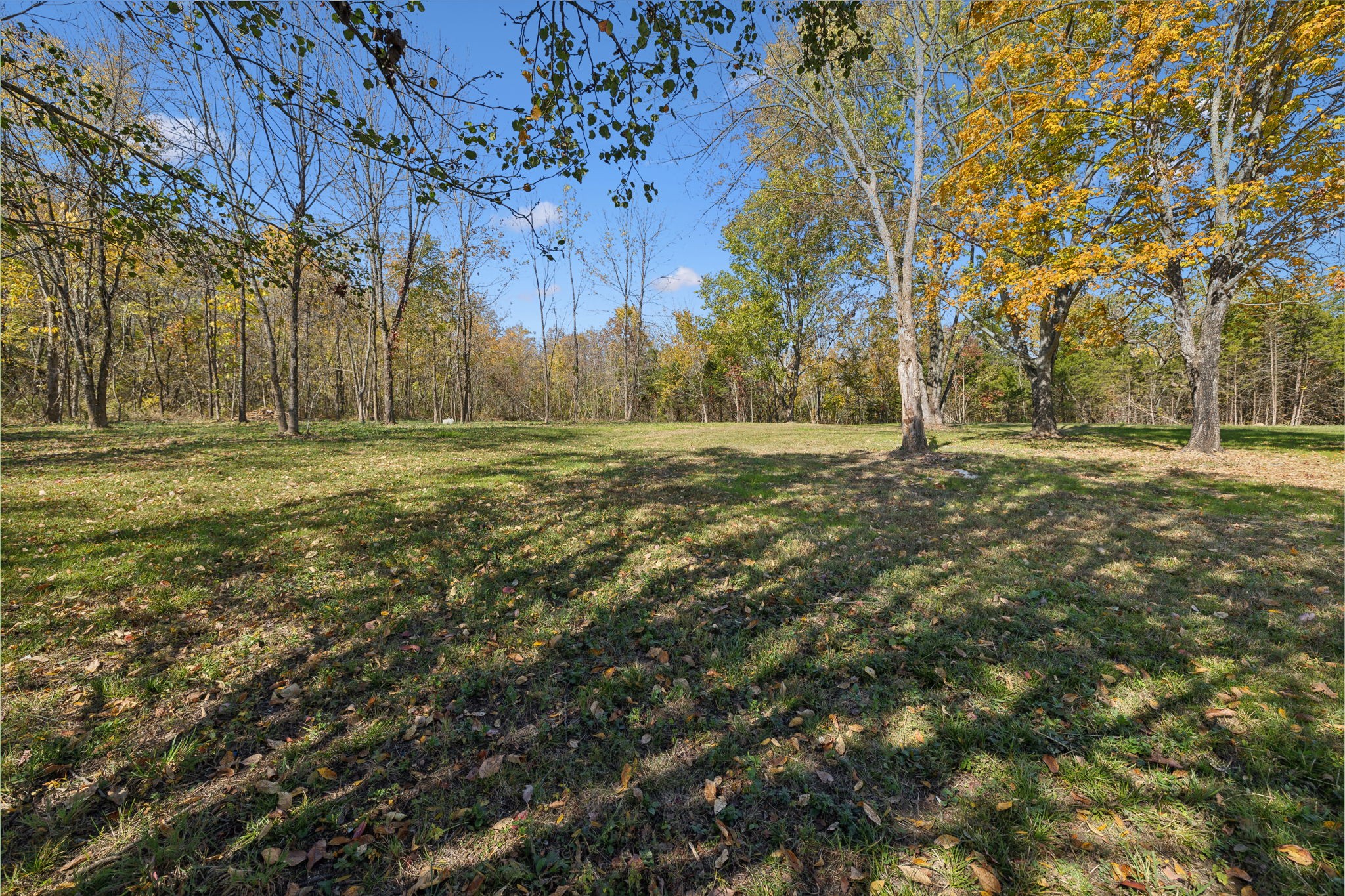480 Beech Bottom Rd Property Photo 44