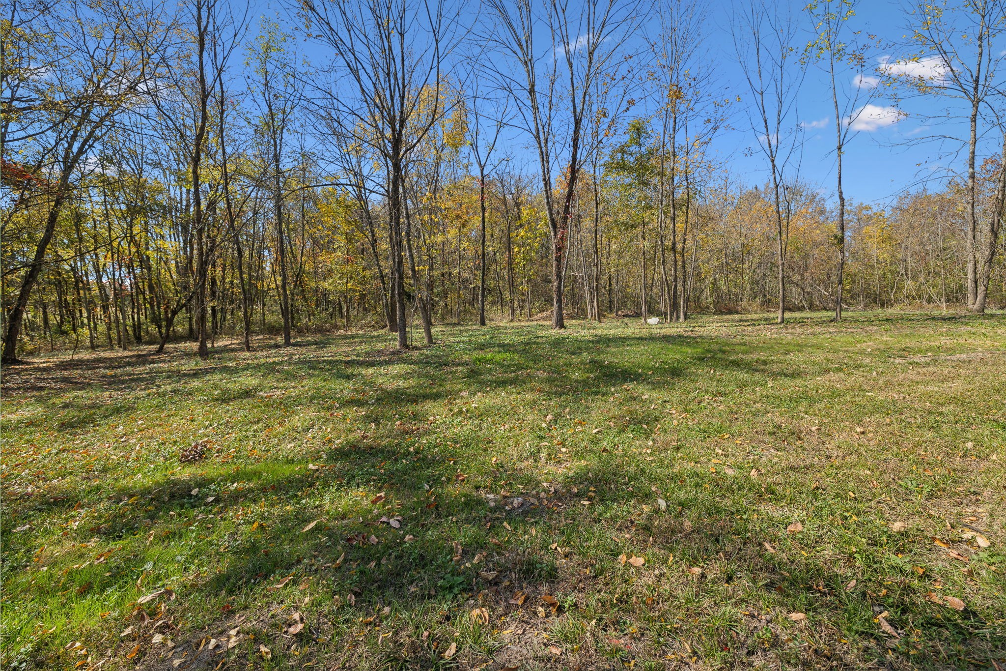 480 Beech Bottom Rd Property Photo 46
