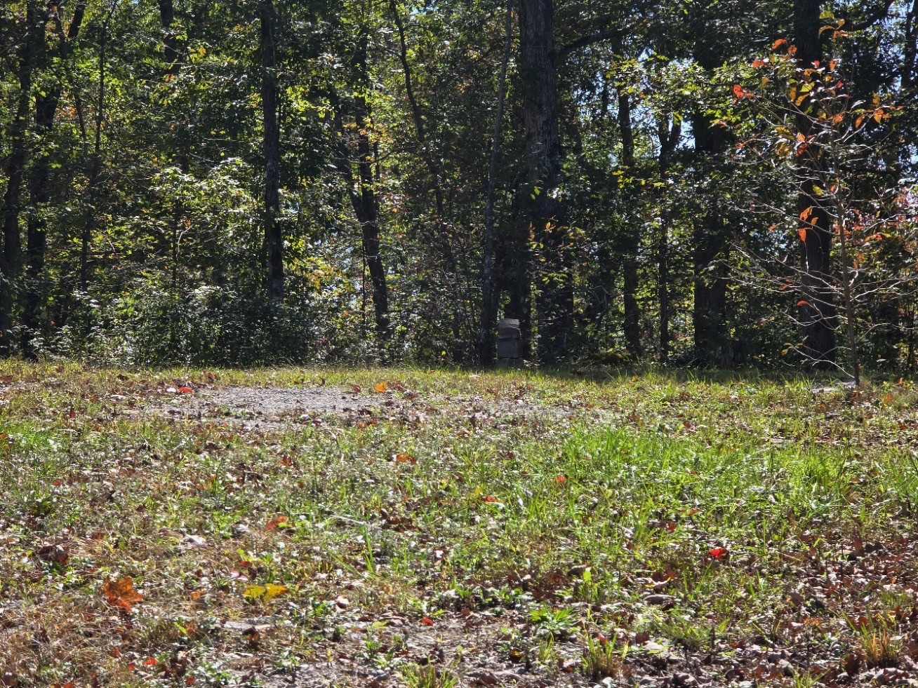 981 Red Rd Property Photo 8
