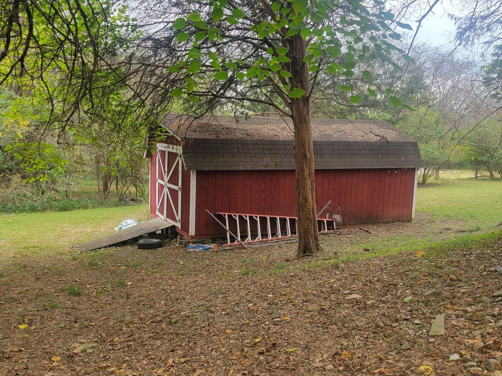 102 Maple Forest Ct Property Photo 16