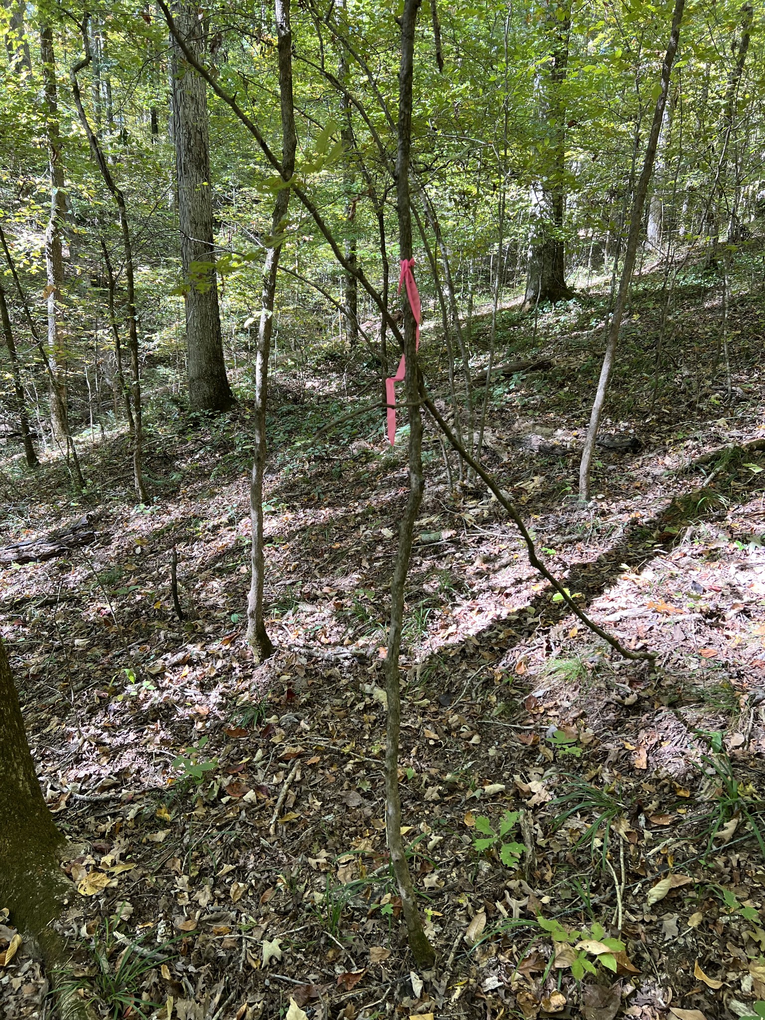 0 West Hunt Hollow Rd Property Photo 6