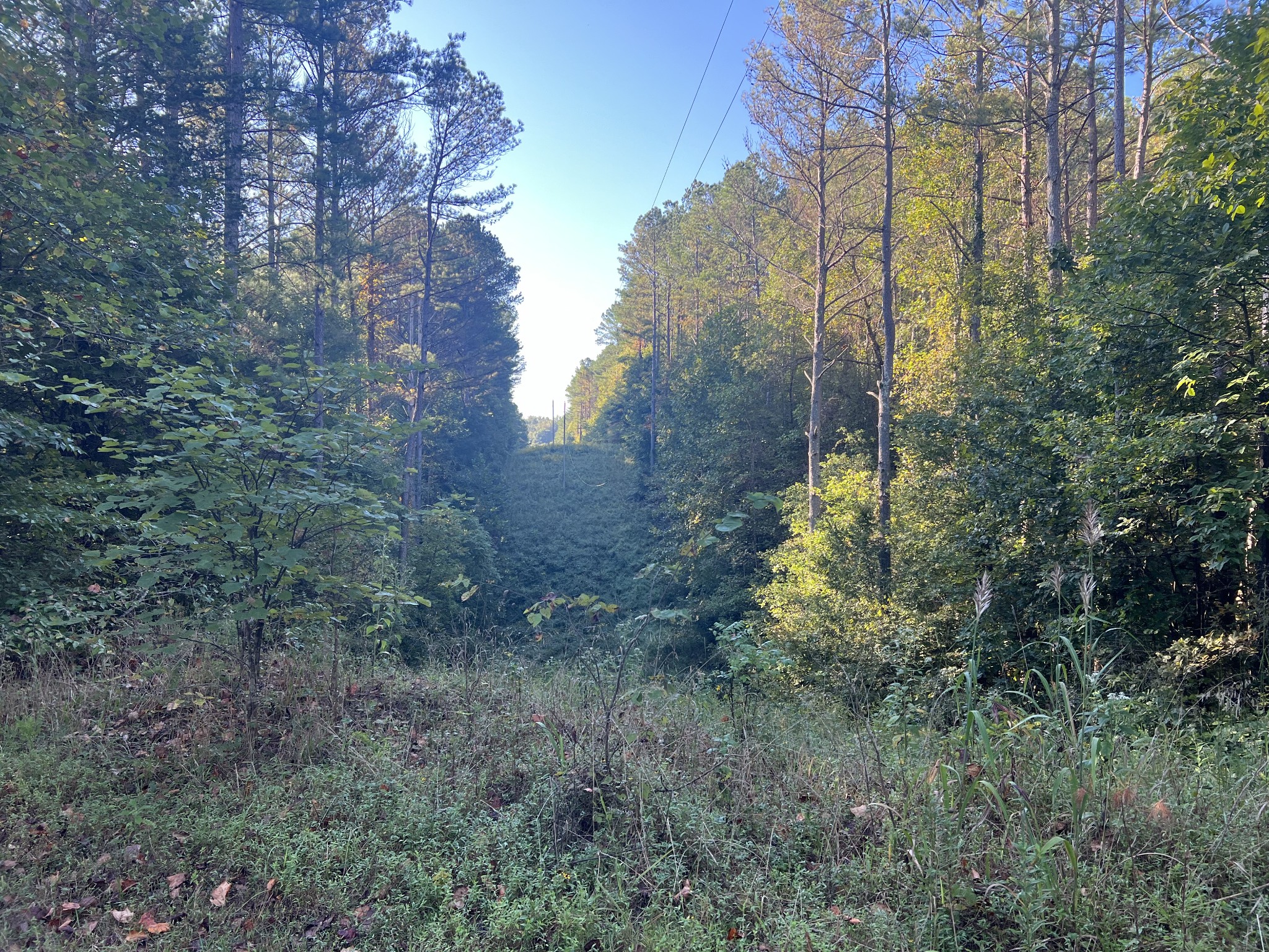 0 West Hunt Hollow Rd Property Photo 15