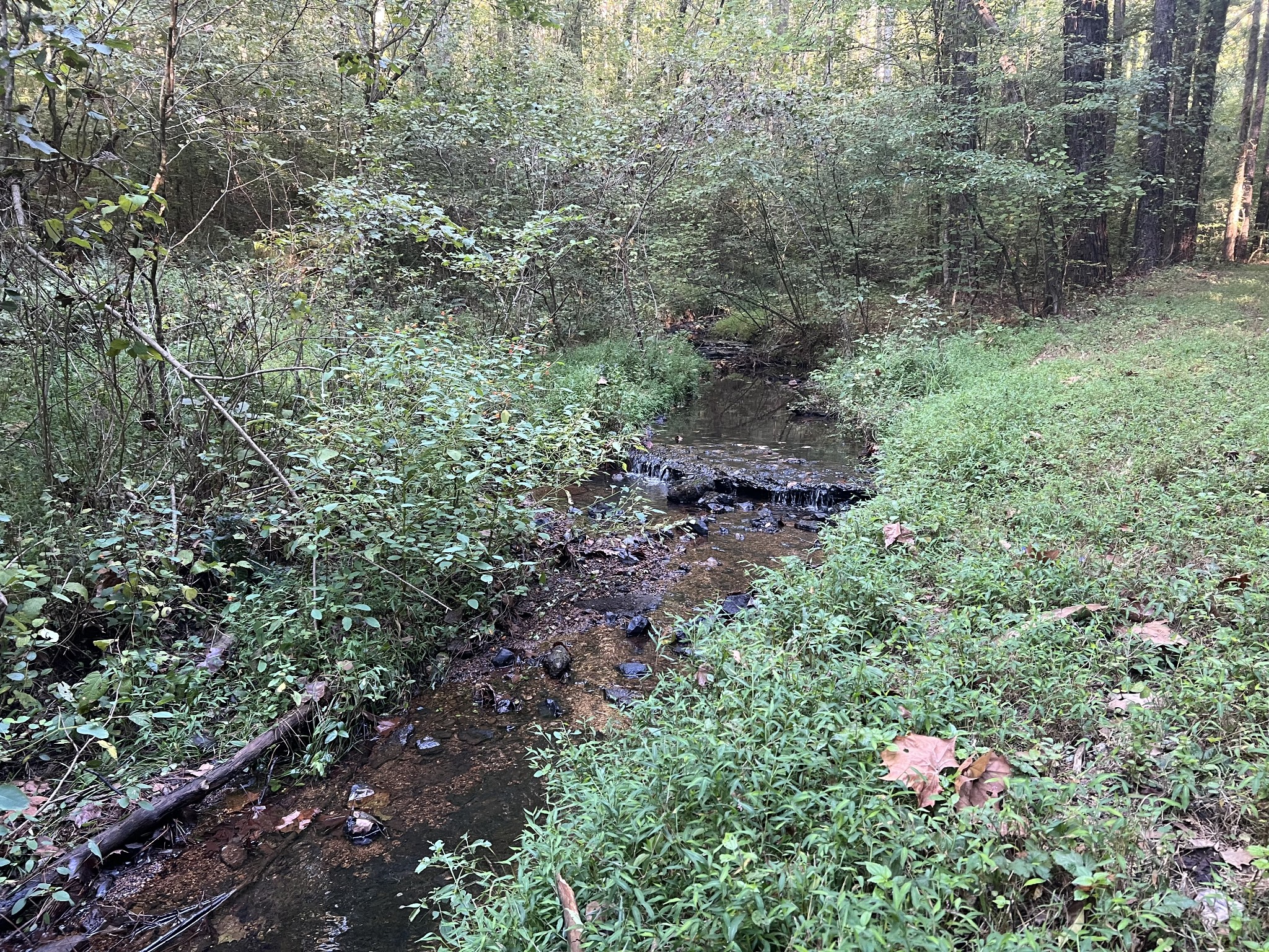 0 West Hunt Hollow Rd Property Photo 18