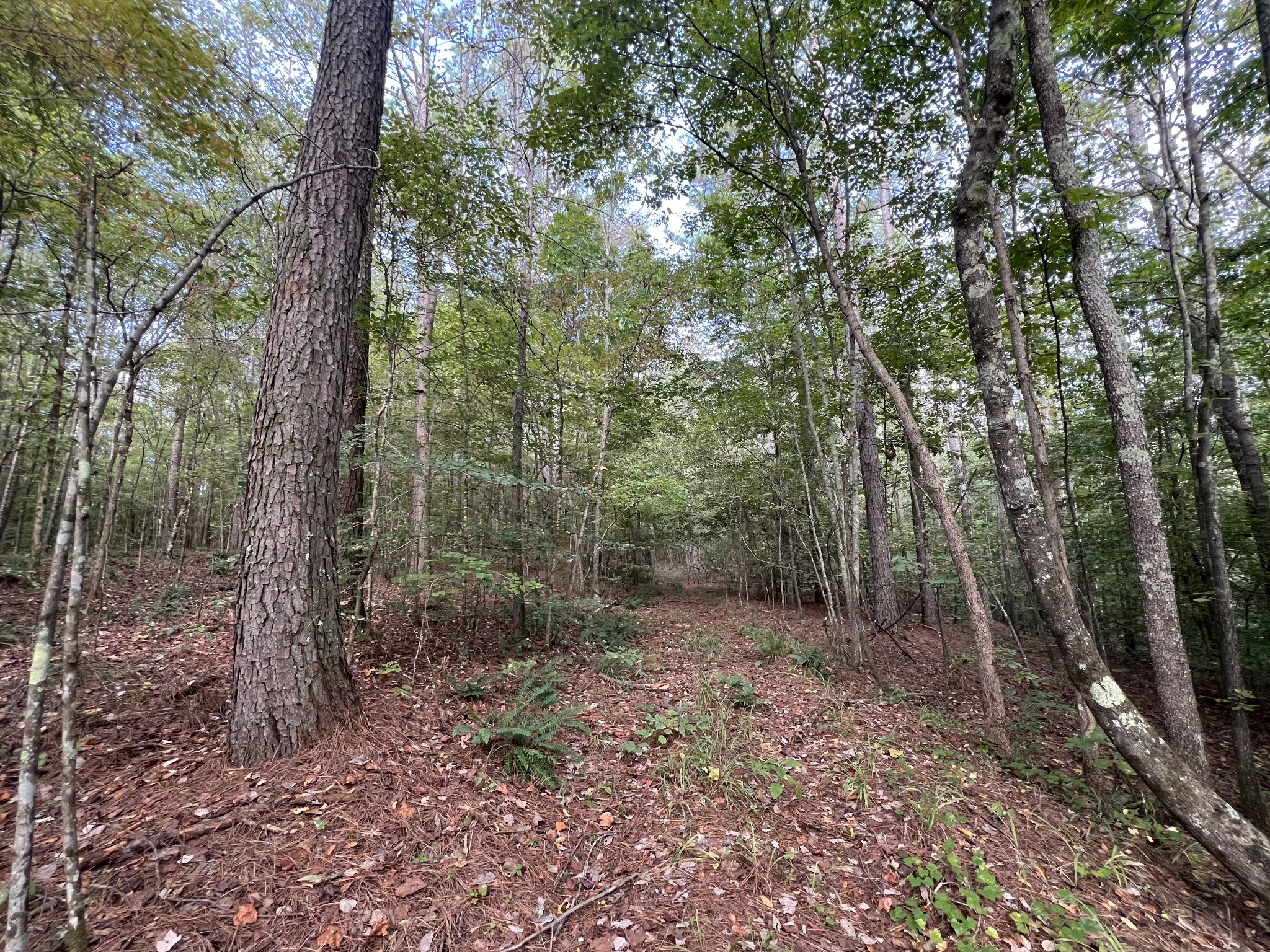 0 West Hunt Hollow Rd Property Photo 25