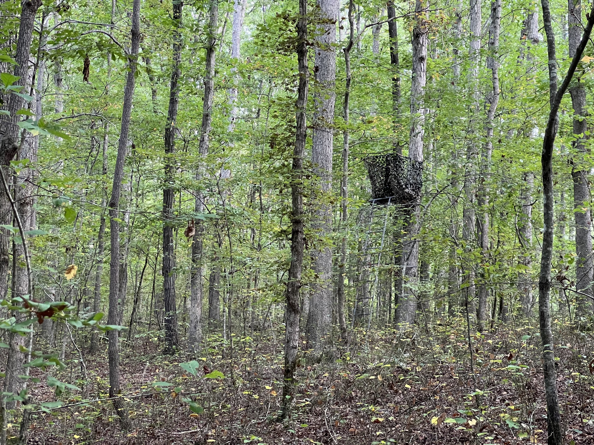 0 West Hunt Hollow Rd Property Photo 28