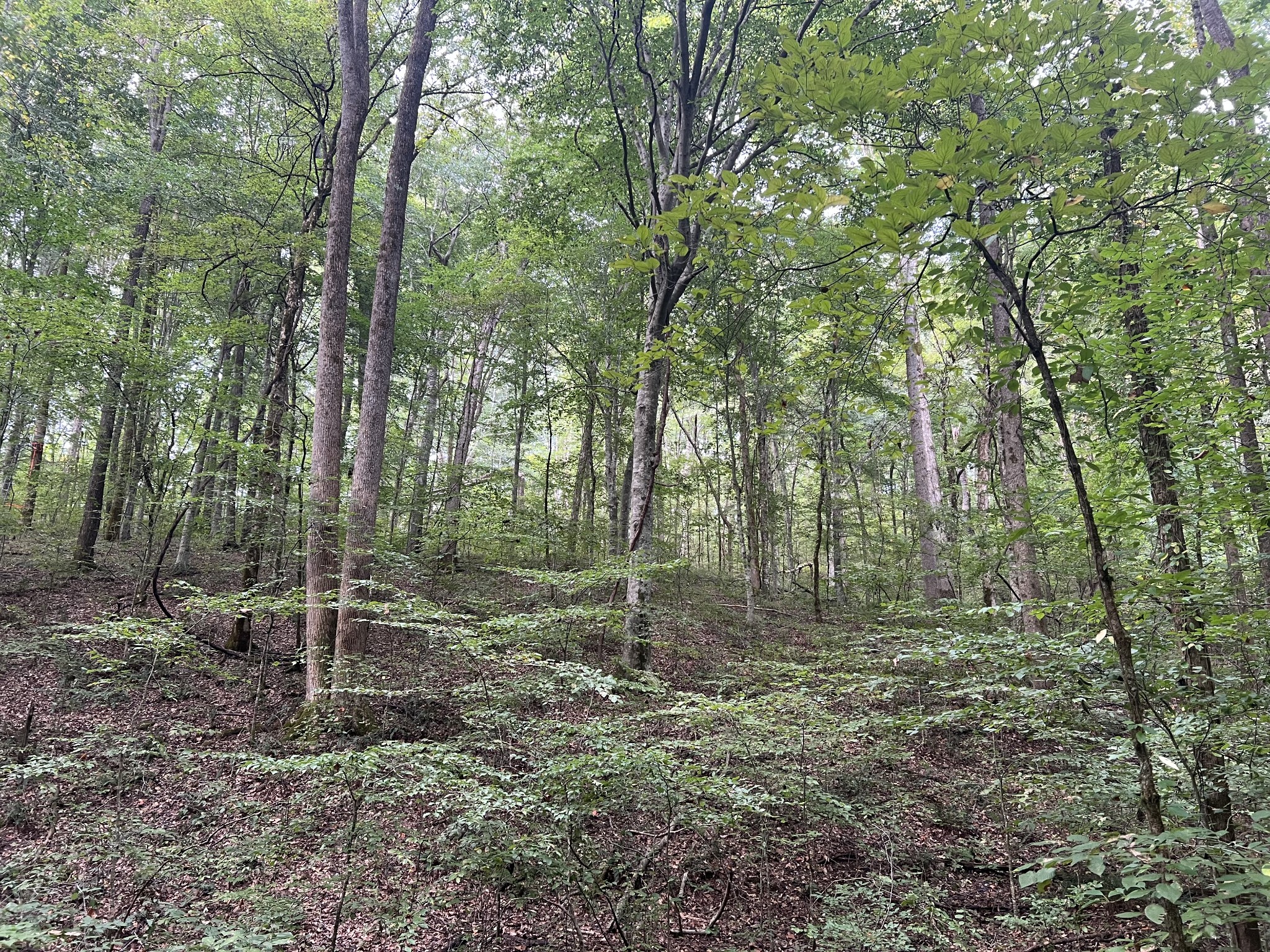 0 West Hunt Hollow Rd Property Photo 30