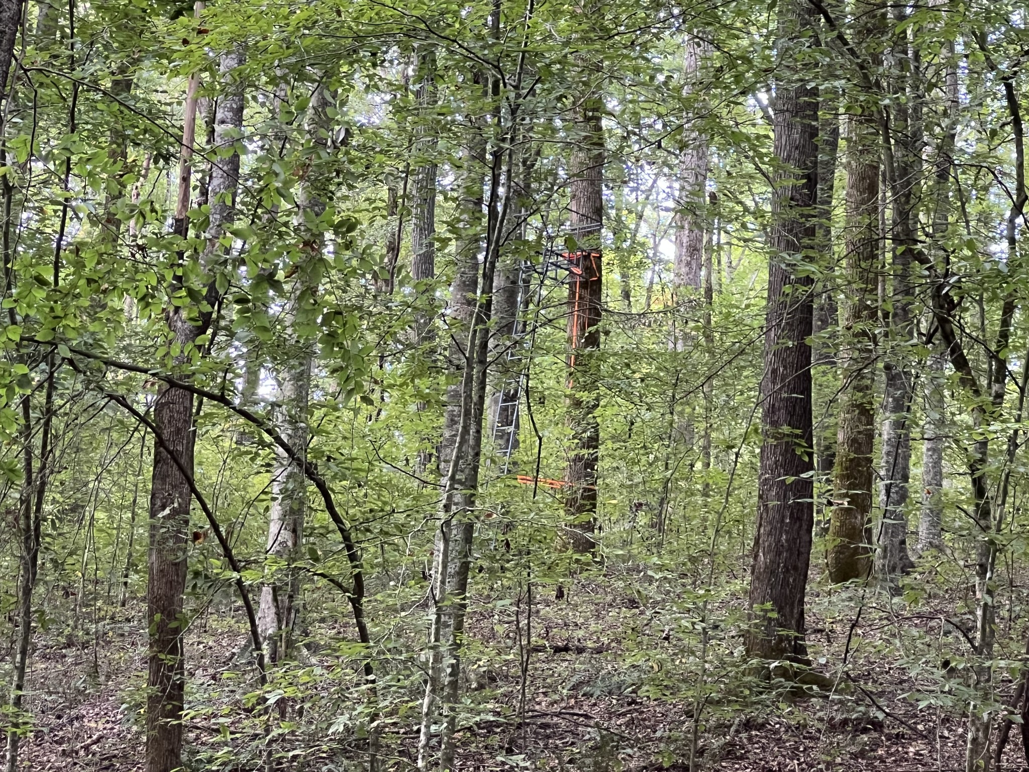 0 West Hunt Hollow Rd Property Photo 31