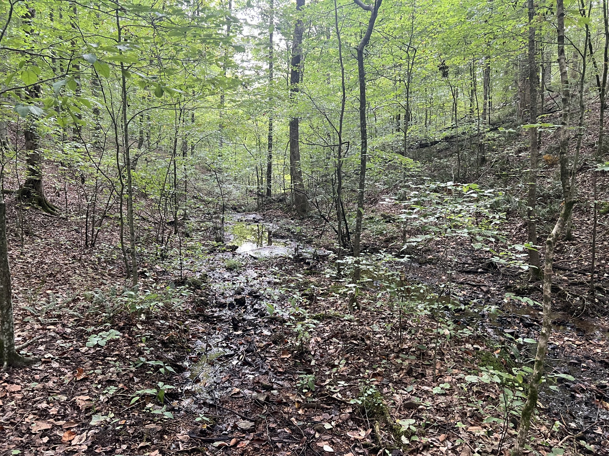 0 West Hunt Hollow Rd Property Photo 34