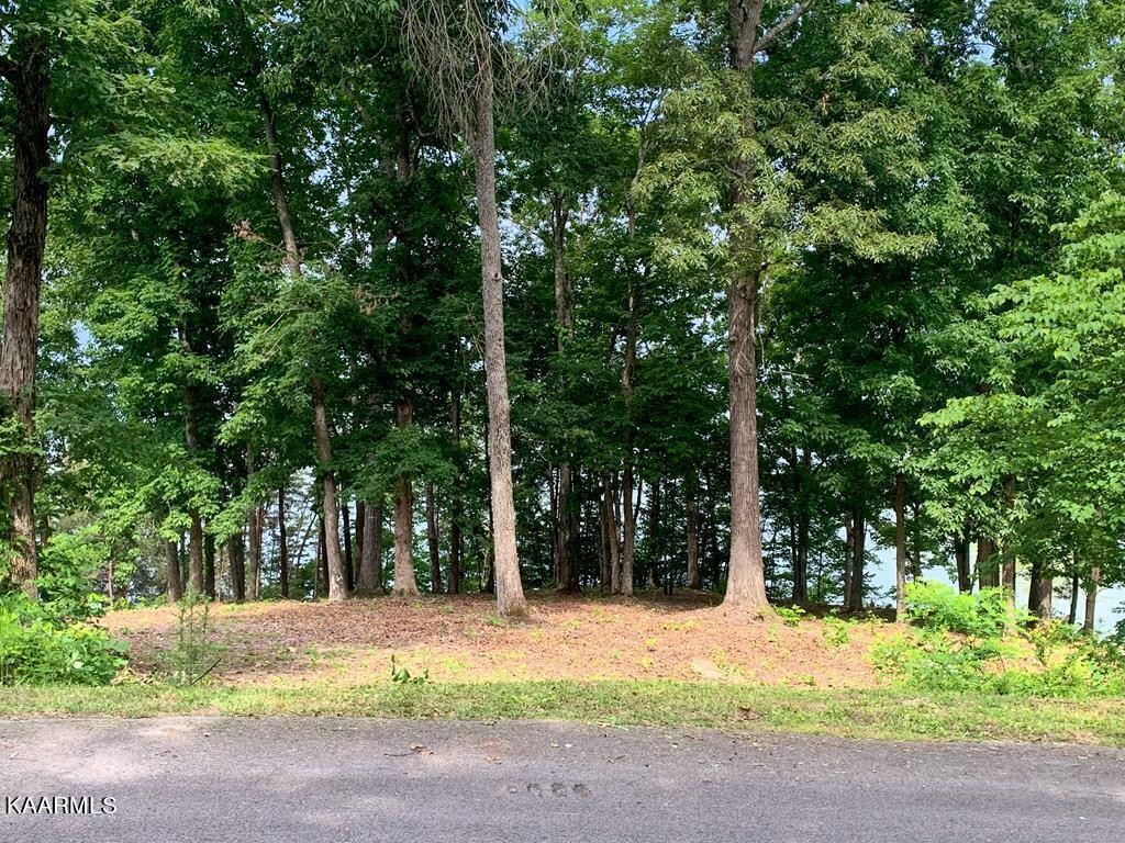 1147 Lakefront Place Property Photo 14
