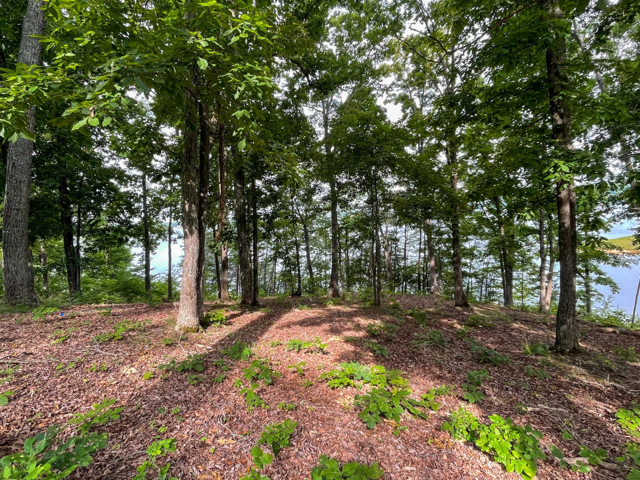 1147 Lakefront Place Property Photo 15