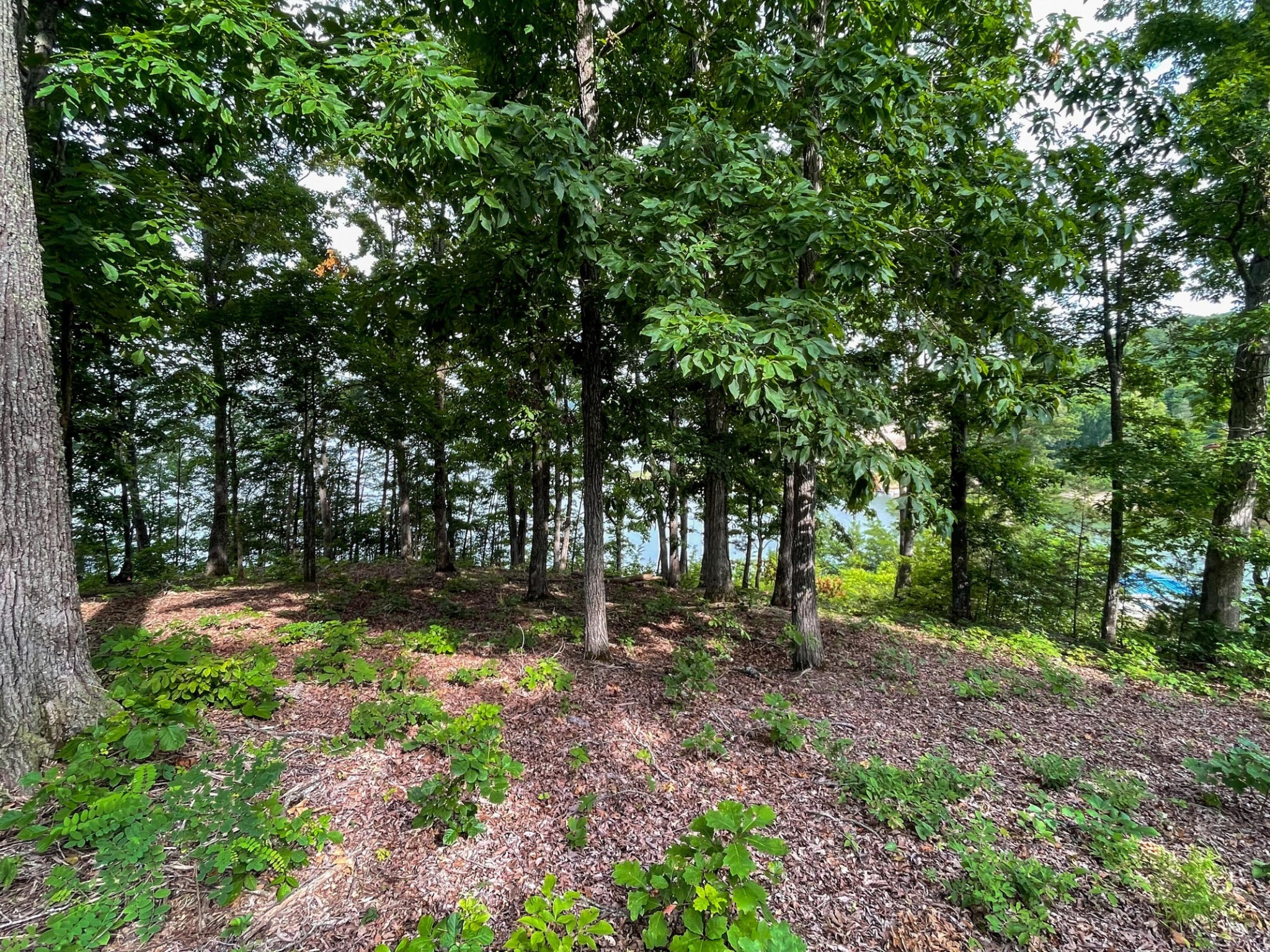 1147 Lakefront Place Property Photo 16