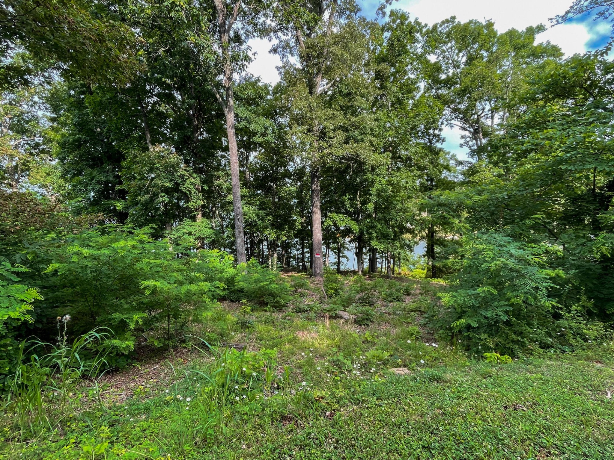 1147 Lakefront Place Property Photo 17