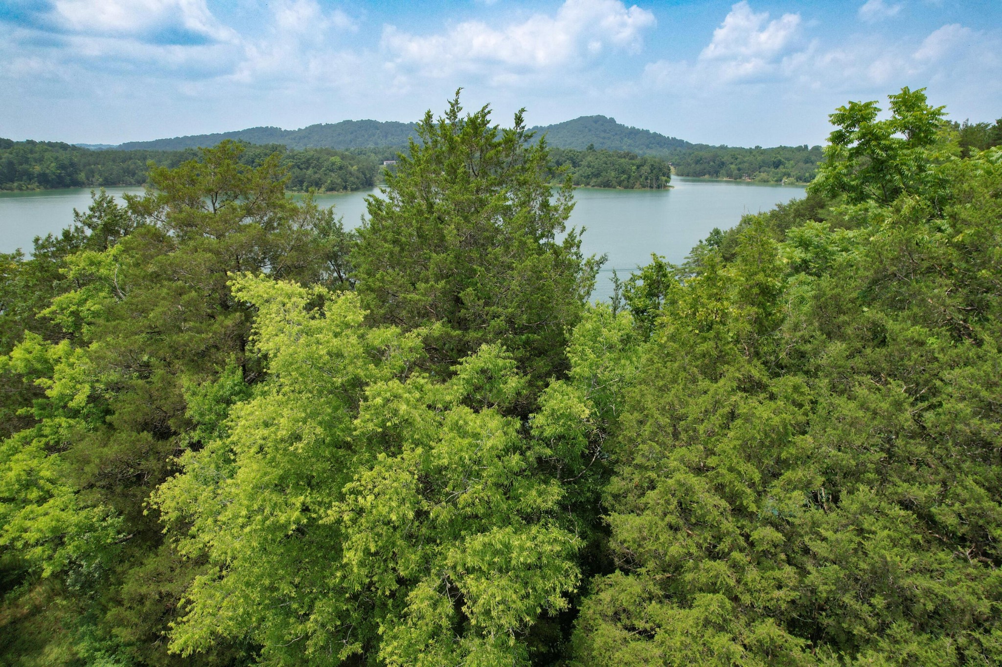 2751 Von Hill Rd Property Photo 15