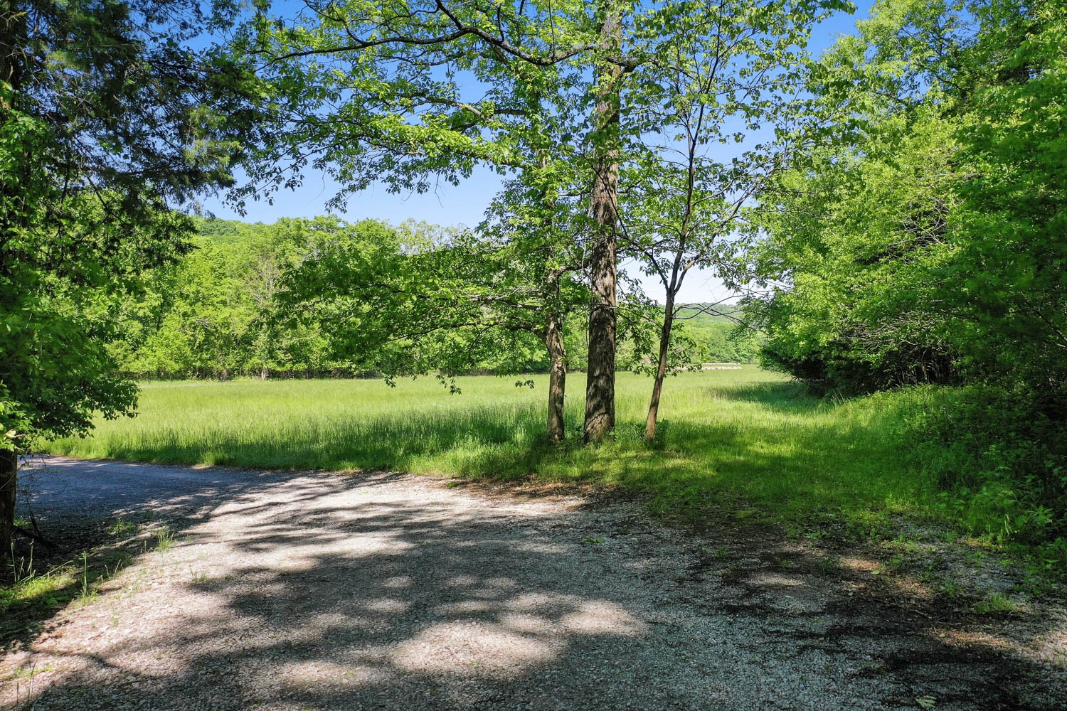 7631 Nolensville Rd Property Photo 7