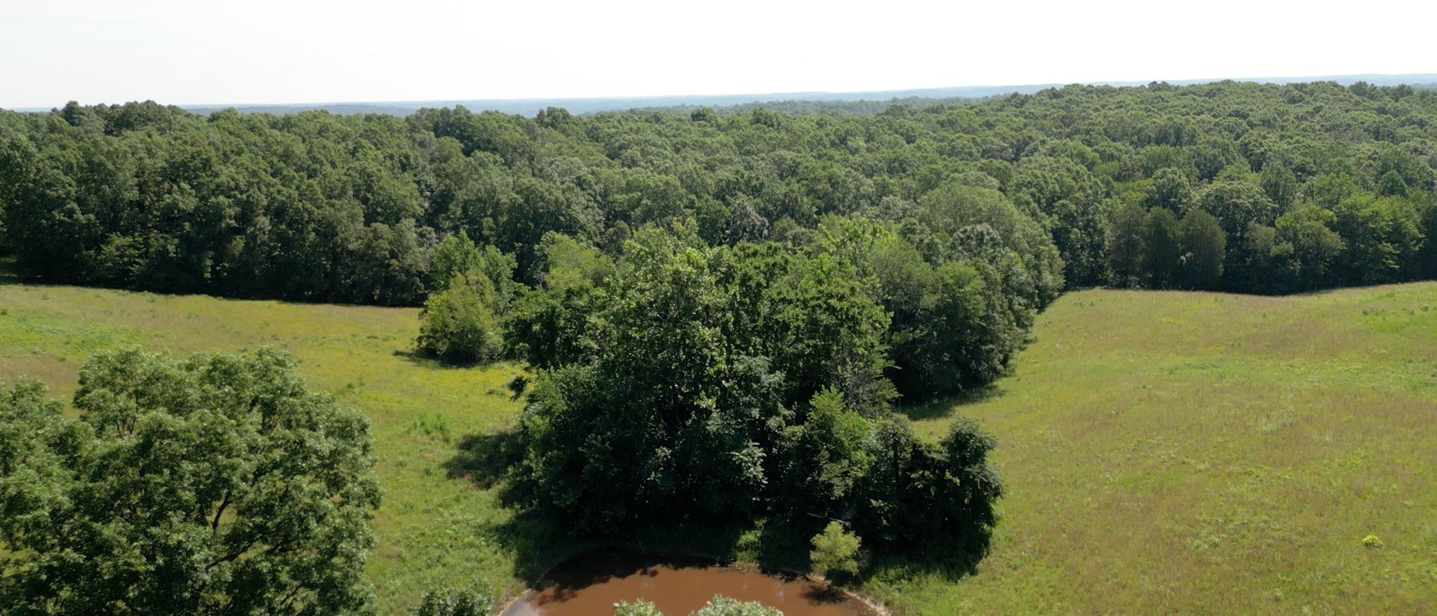 1194 Bailey Hollow Rd Property Photo 3