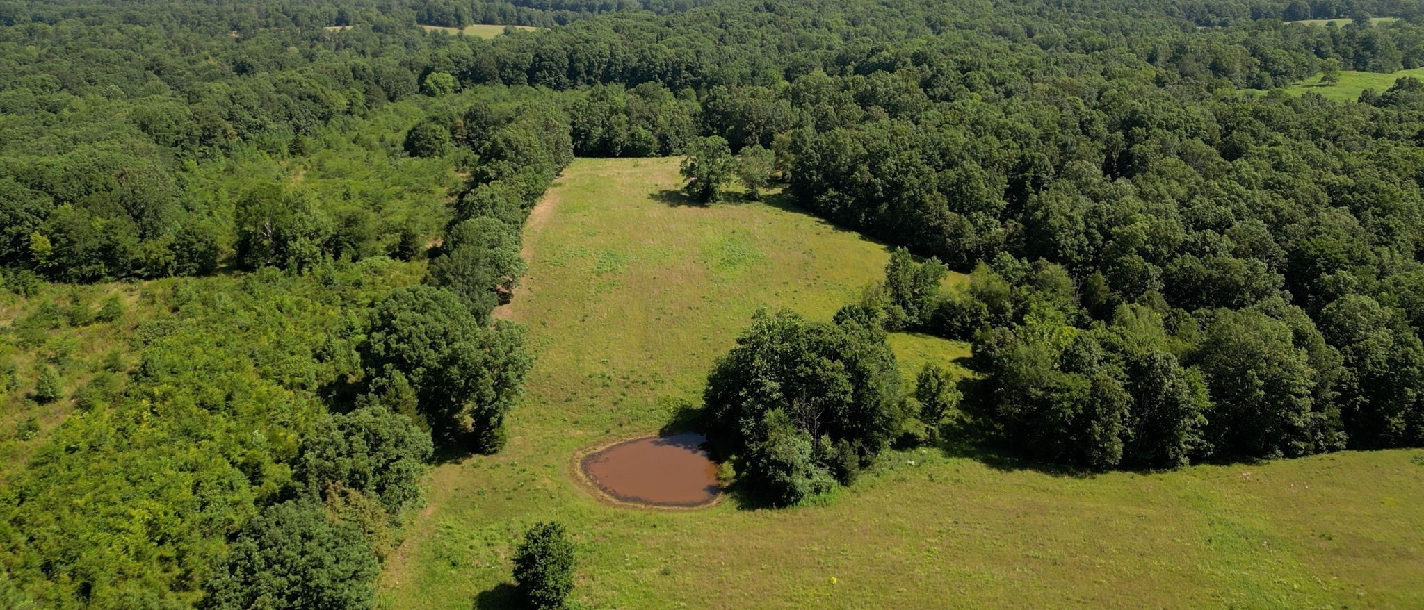 1194 Bailey Hollow Rd Property Photo 5