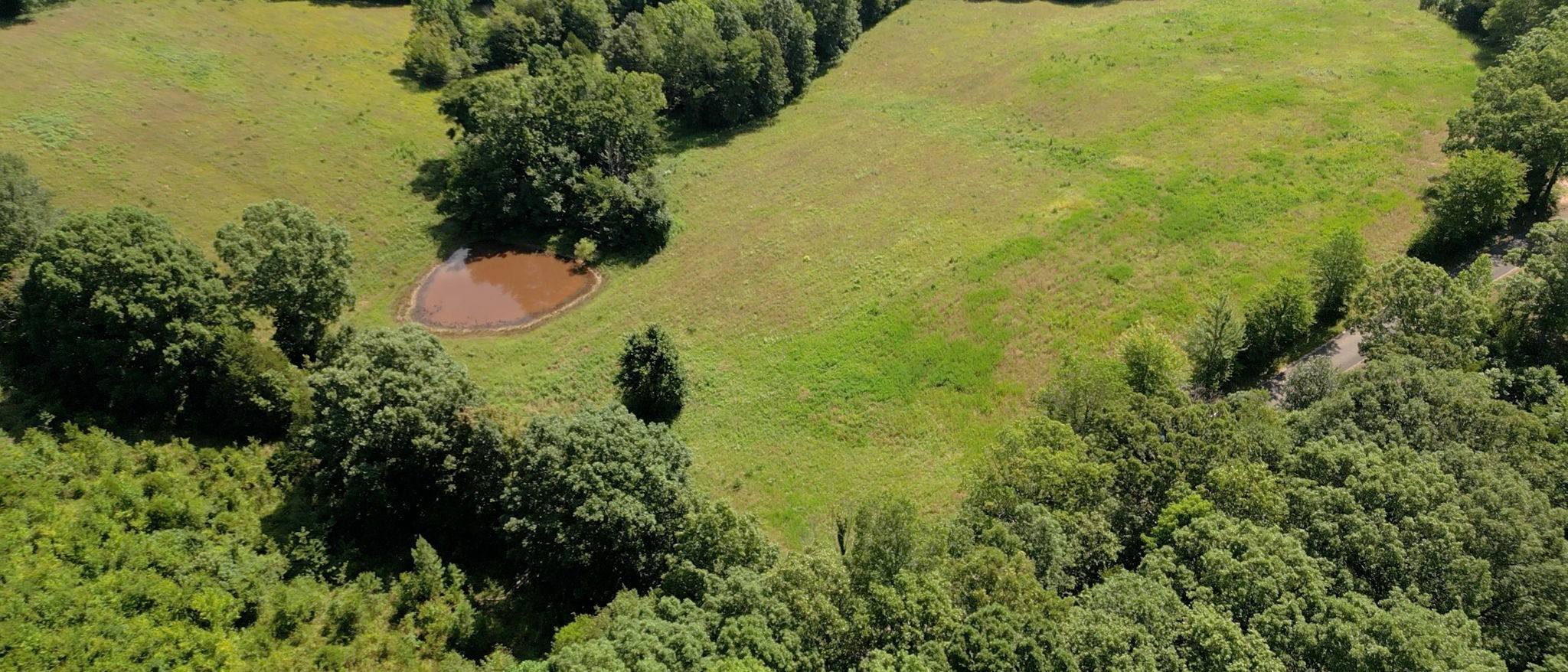 1194 Bailey Hollow Rd Property Photo 6