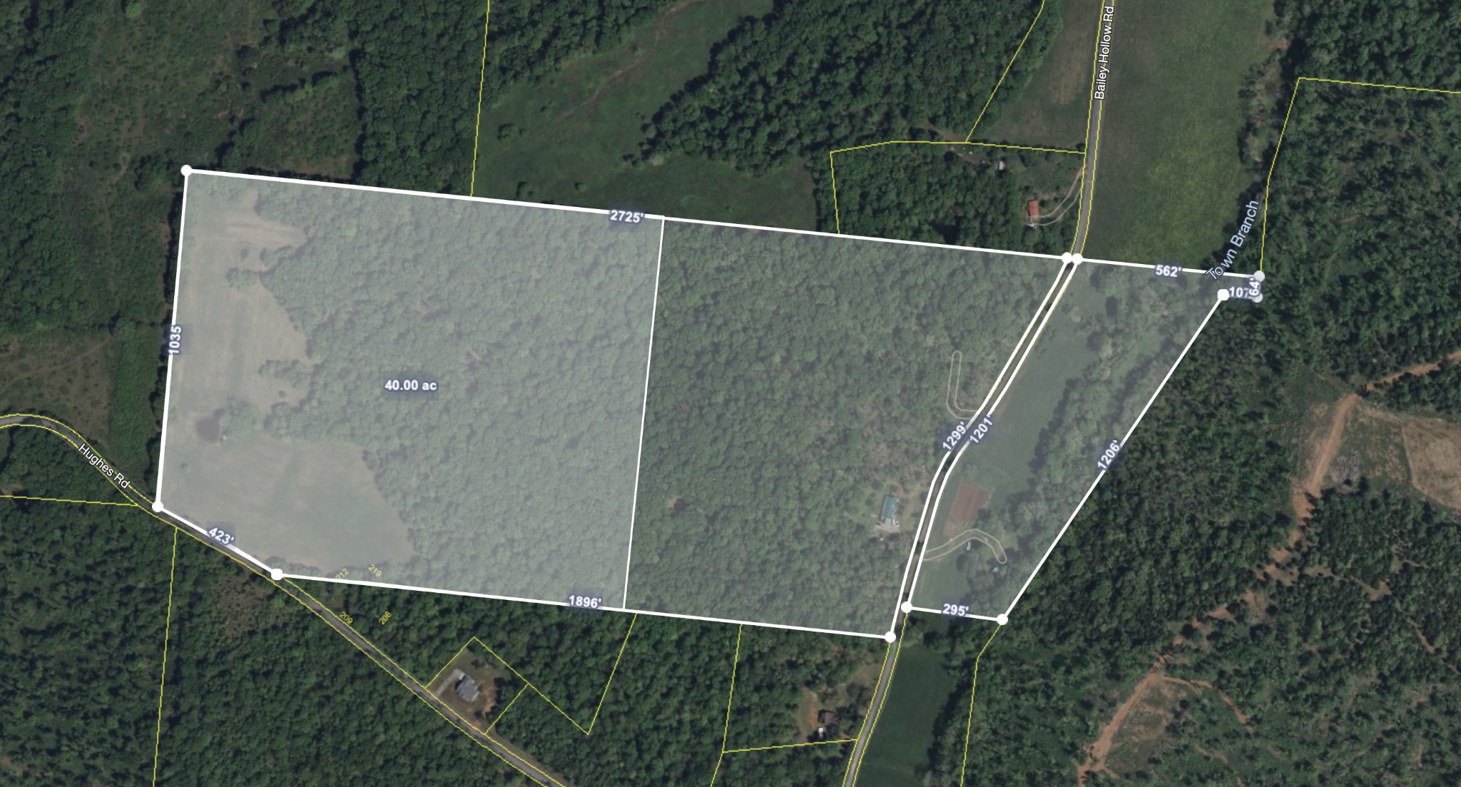 1194 Bailey Hollow Rd Property Photo 7