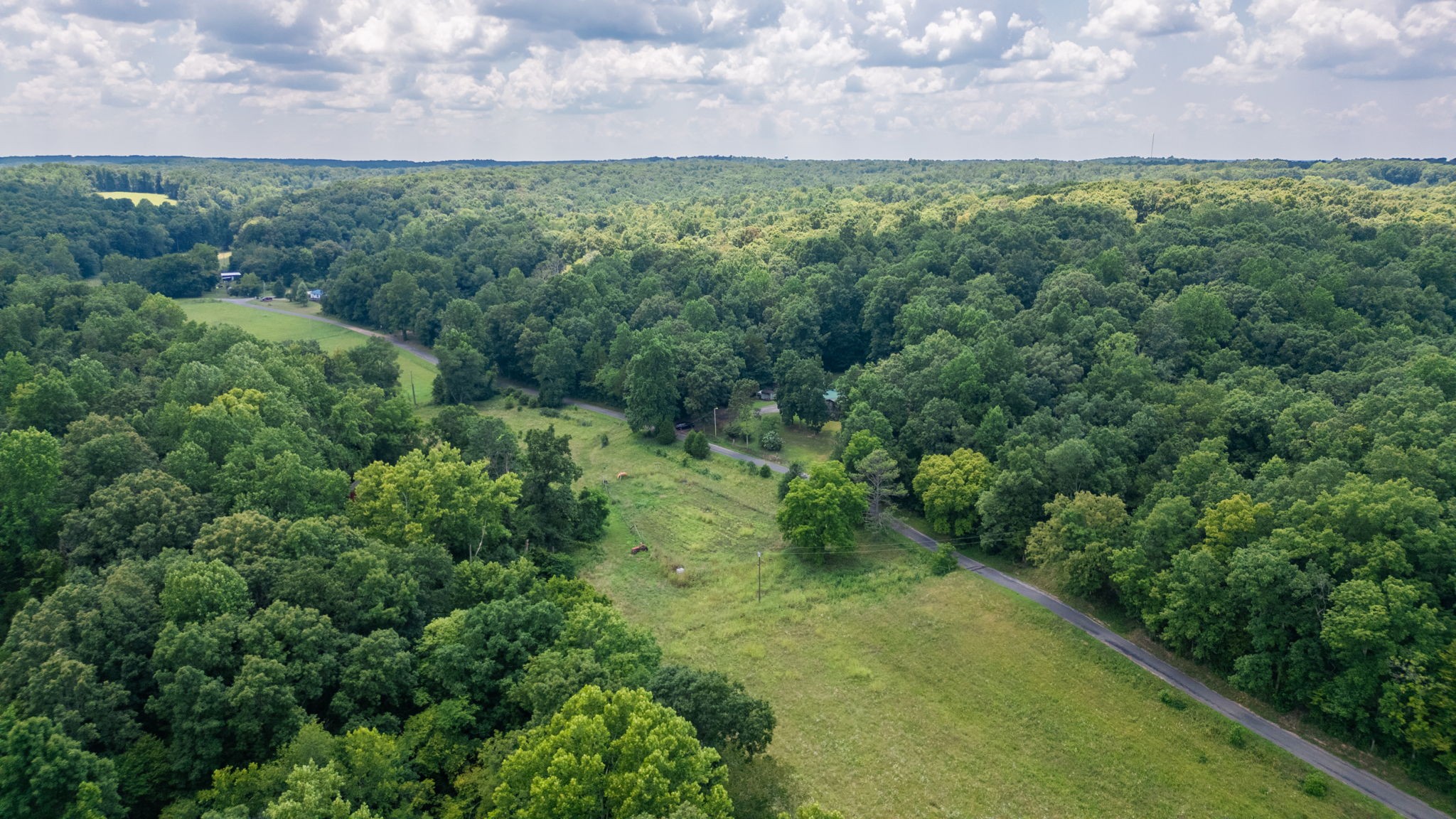 1194 Bailey Hollow Rd Property Photo 3