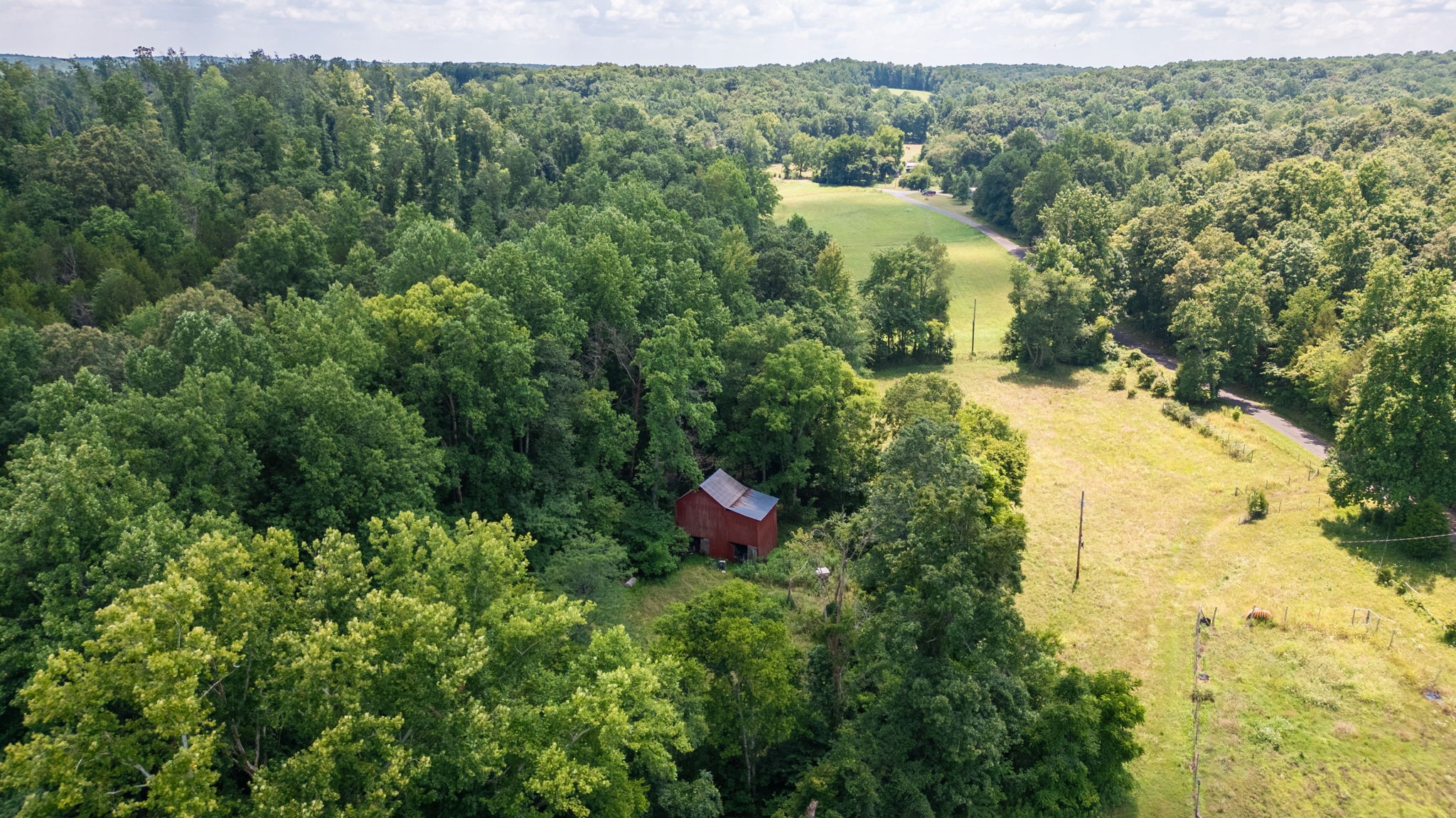 1194 Bailey Hollow Rd Property Photo 4