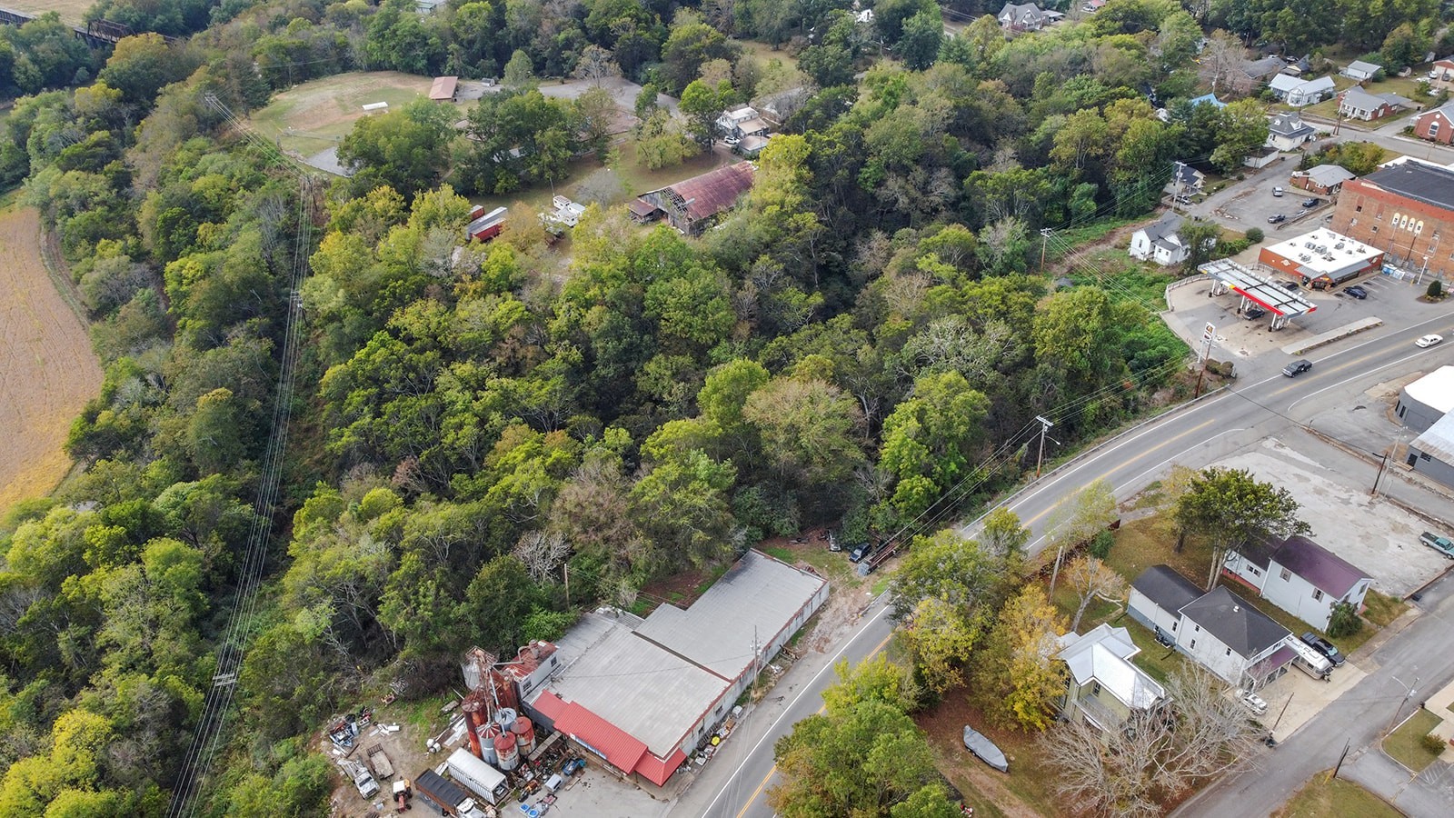 105 Webb St Property Photo 15