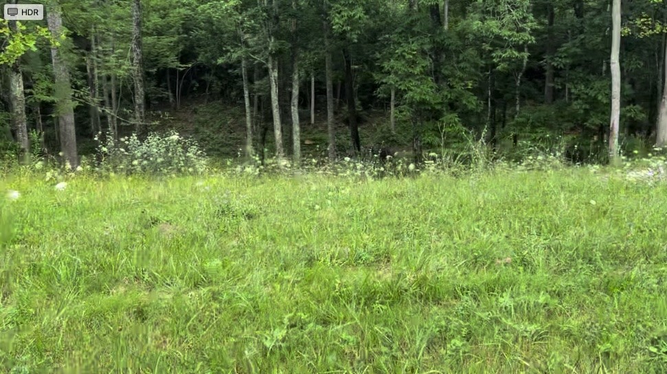 0 Highway 68 Property Photo 4