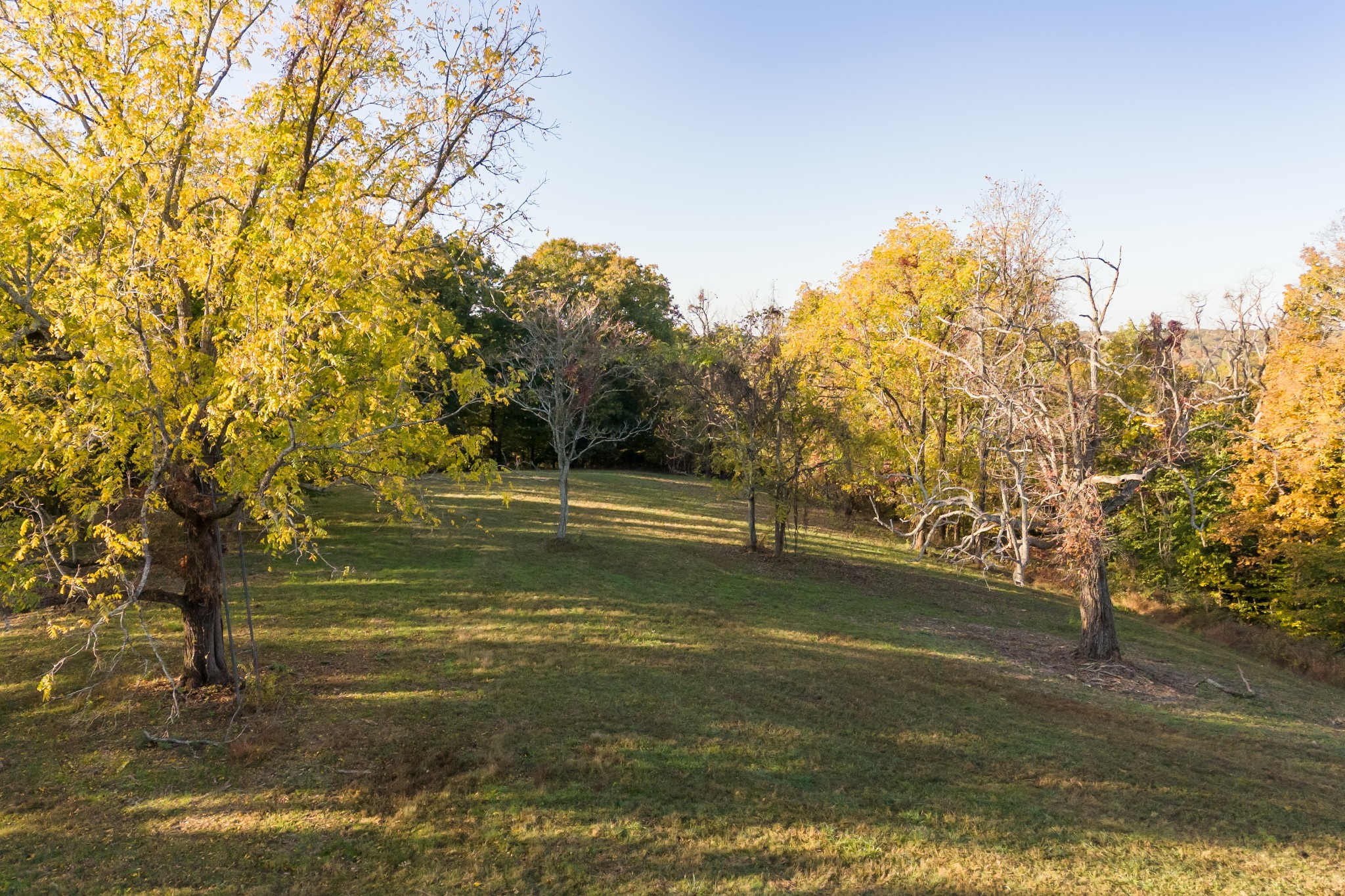 3899 Boston Theta Road Property Photo 54