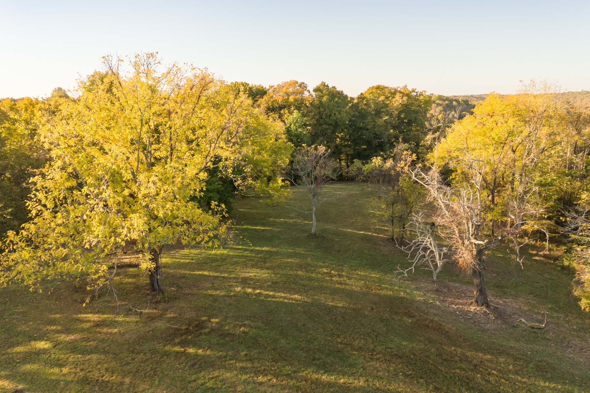 3747 Mobleys Cut Rd Property Photo 14