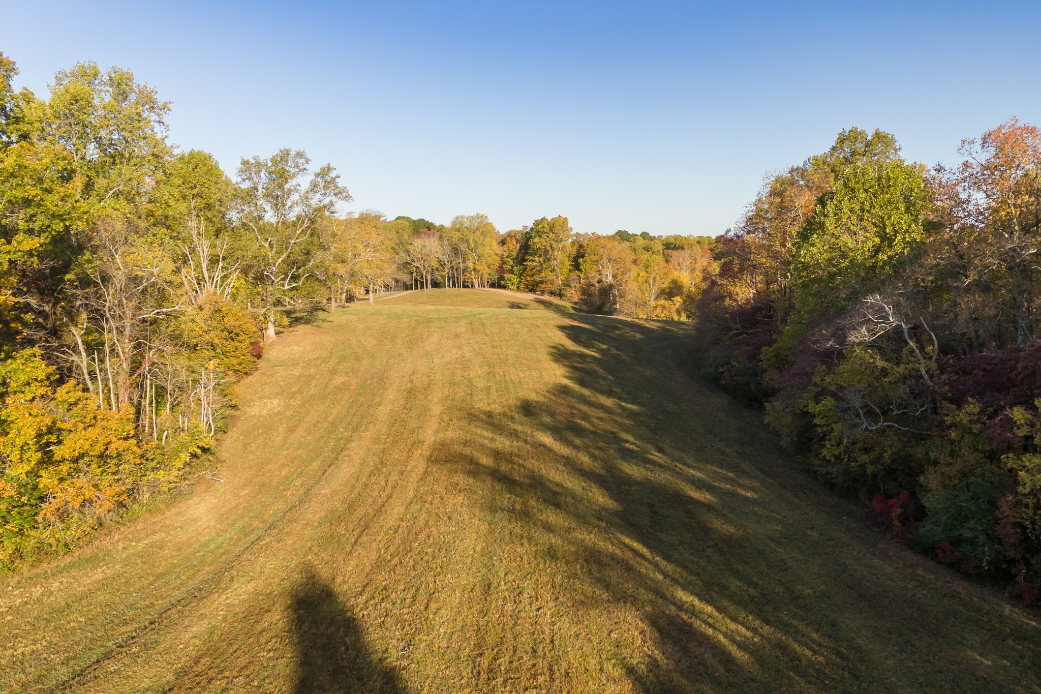 3747 Mobleys Cut Rd Property Photo 15