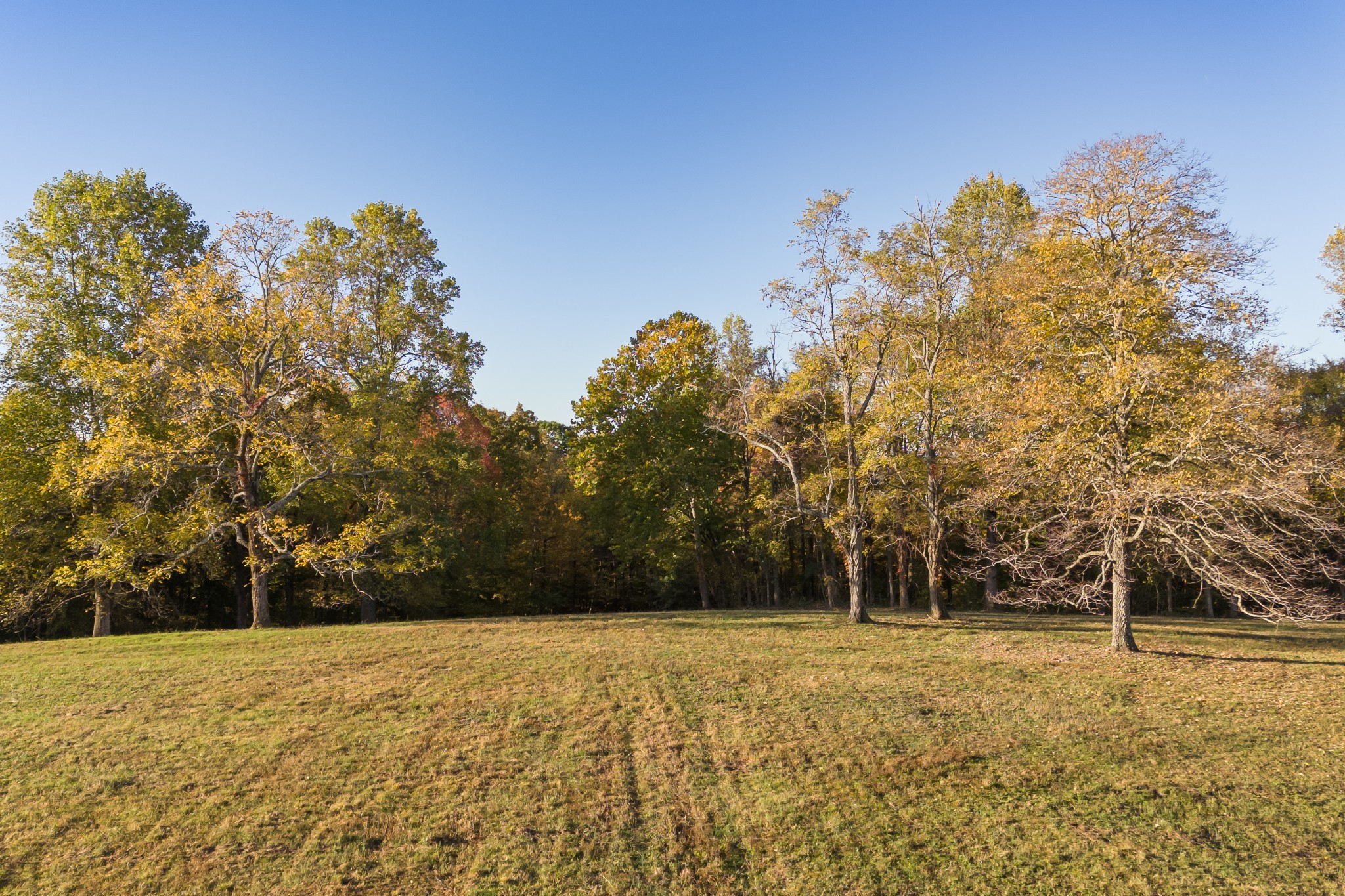 3747 Mobleys Cut Rd Property Photo 20