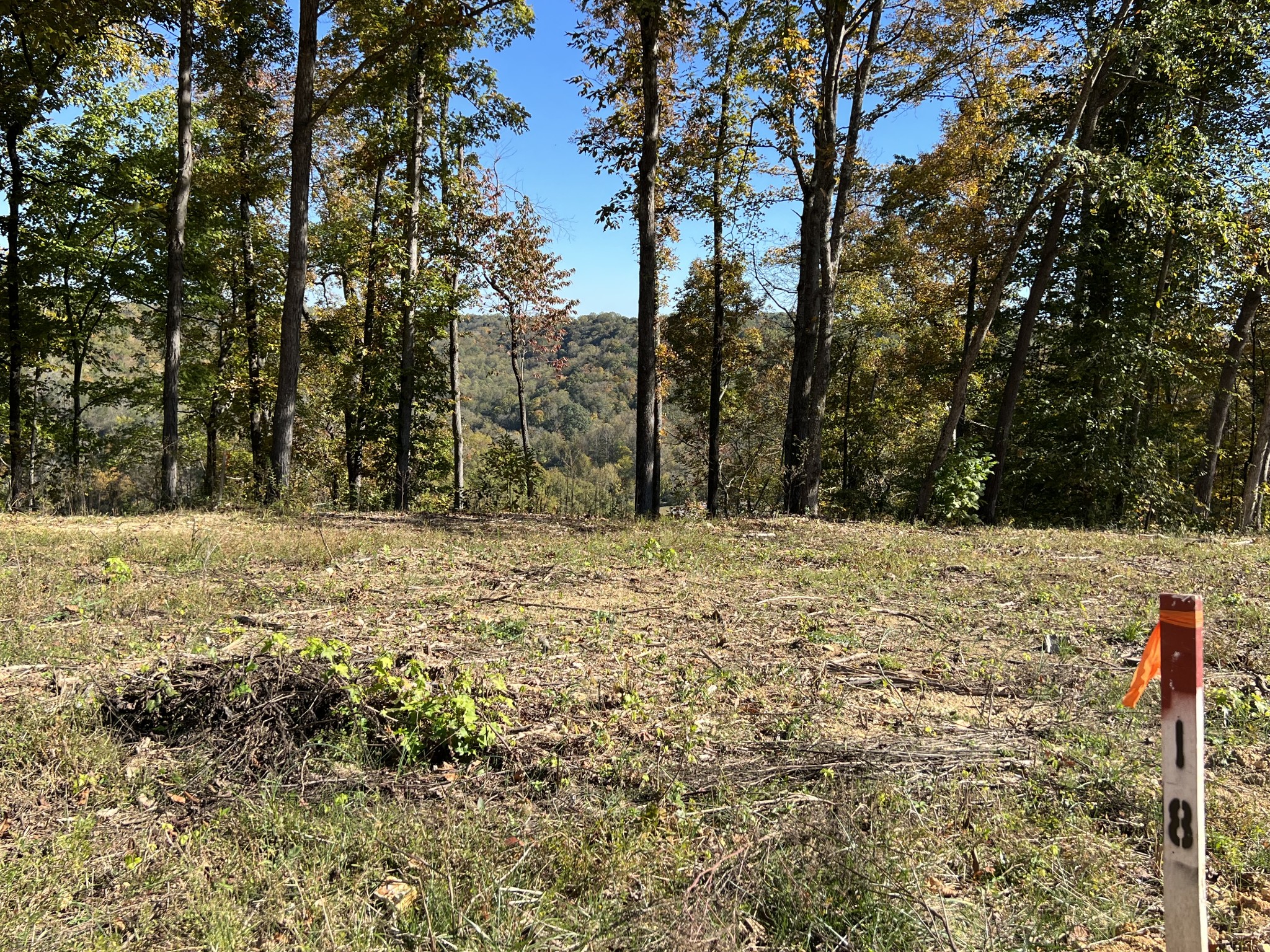 9672 Medlin Rd Property Photo 3