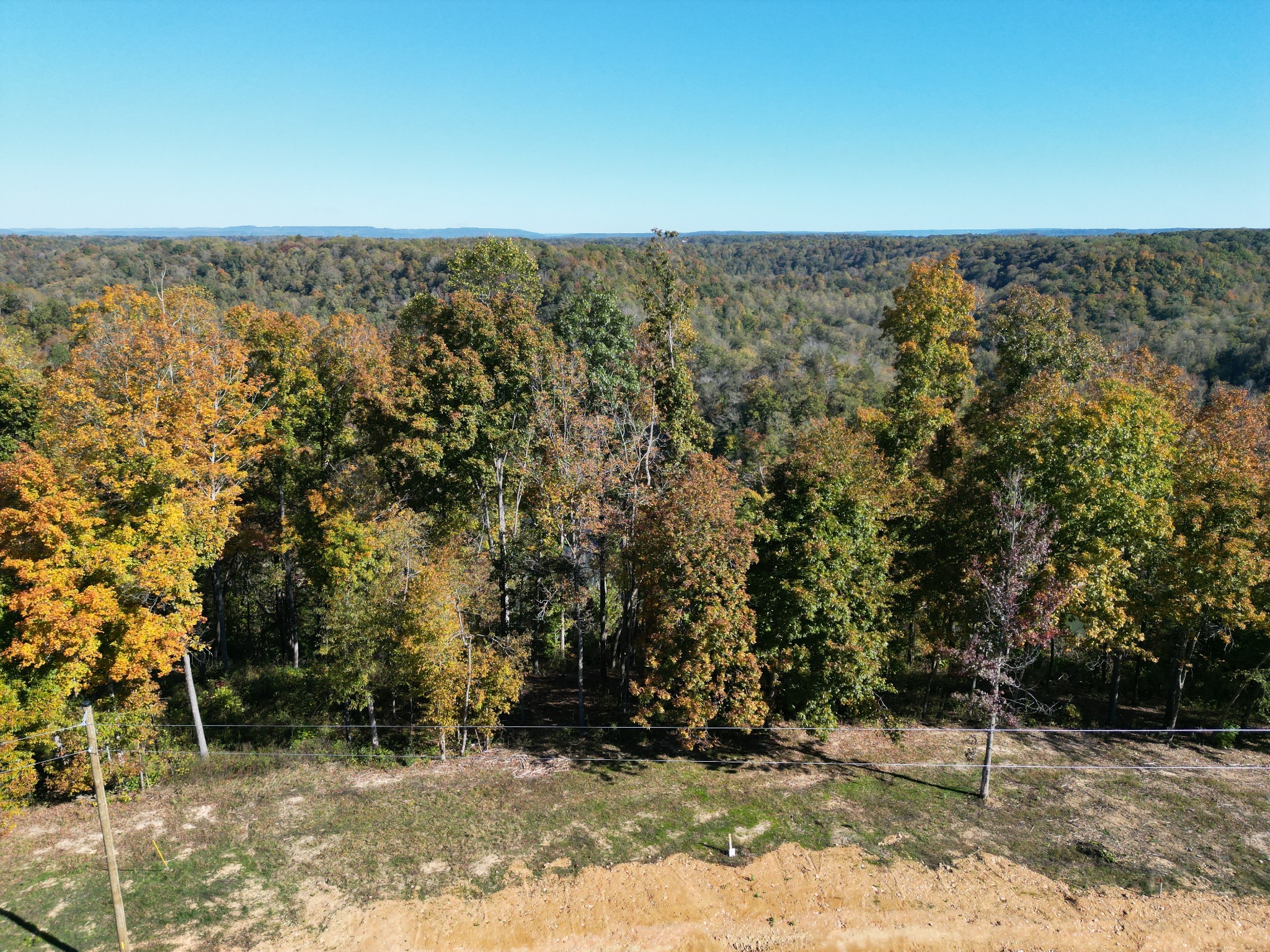9672 Medlin Rd Property Photo 7