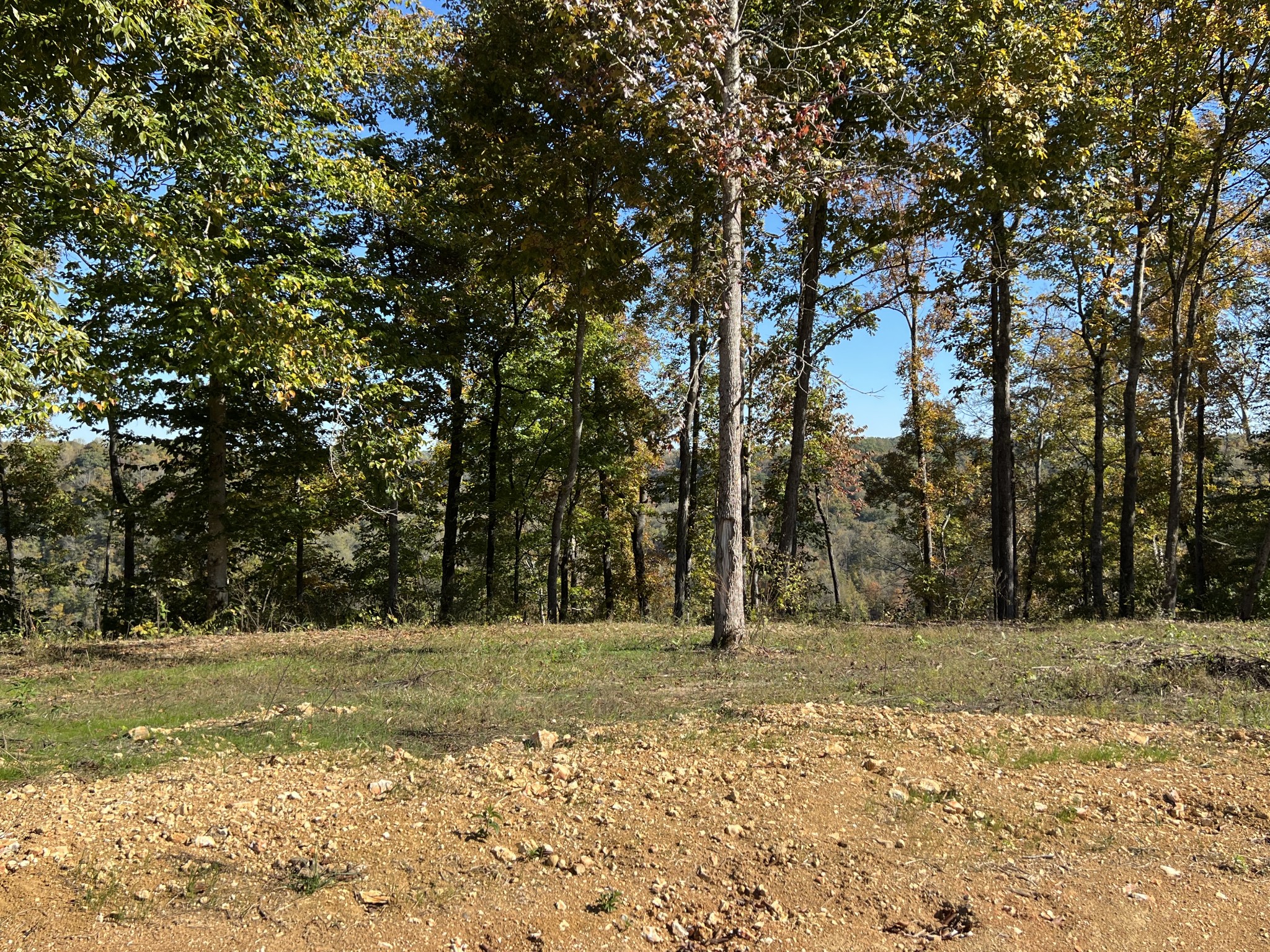 9672 Medlin Rd Property Photo 8