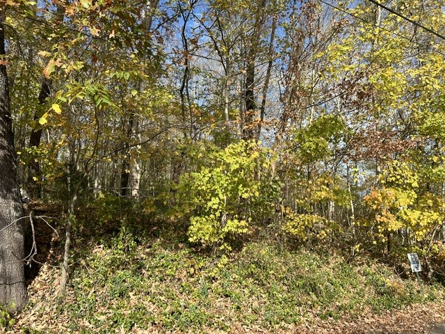 0 Palmyra Rd Property Photo 11