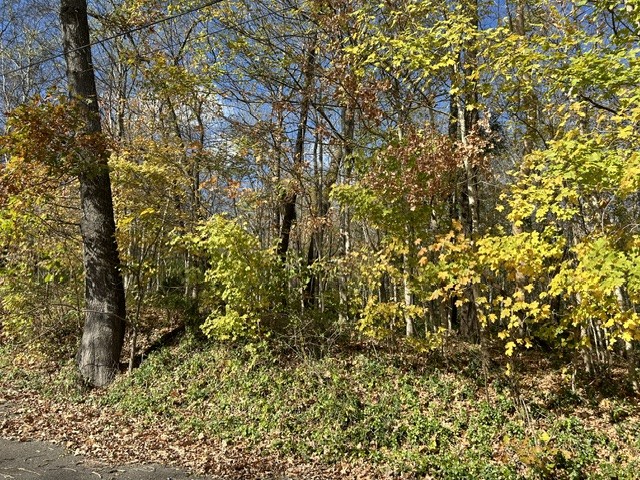 0 Palmyra Rd Property Photo 12