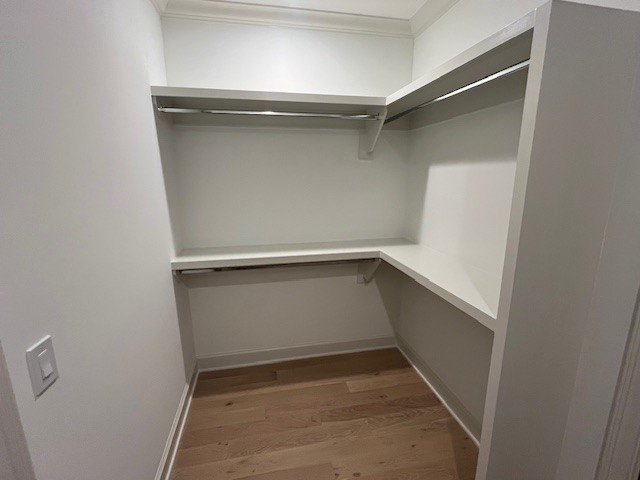 101 Cardiff Drive Property Photo 13