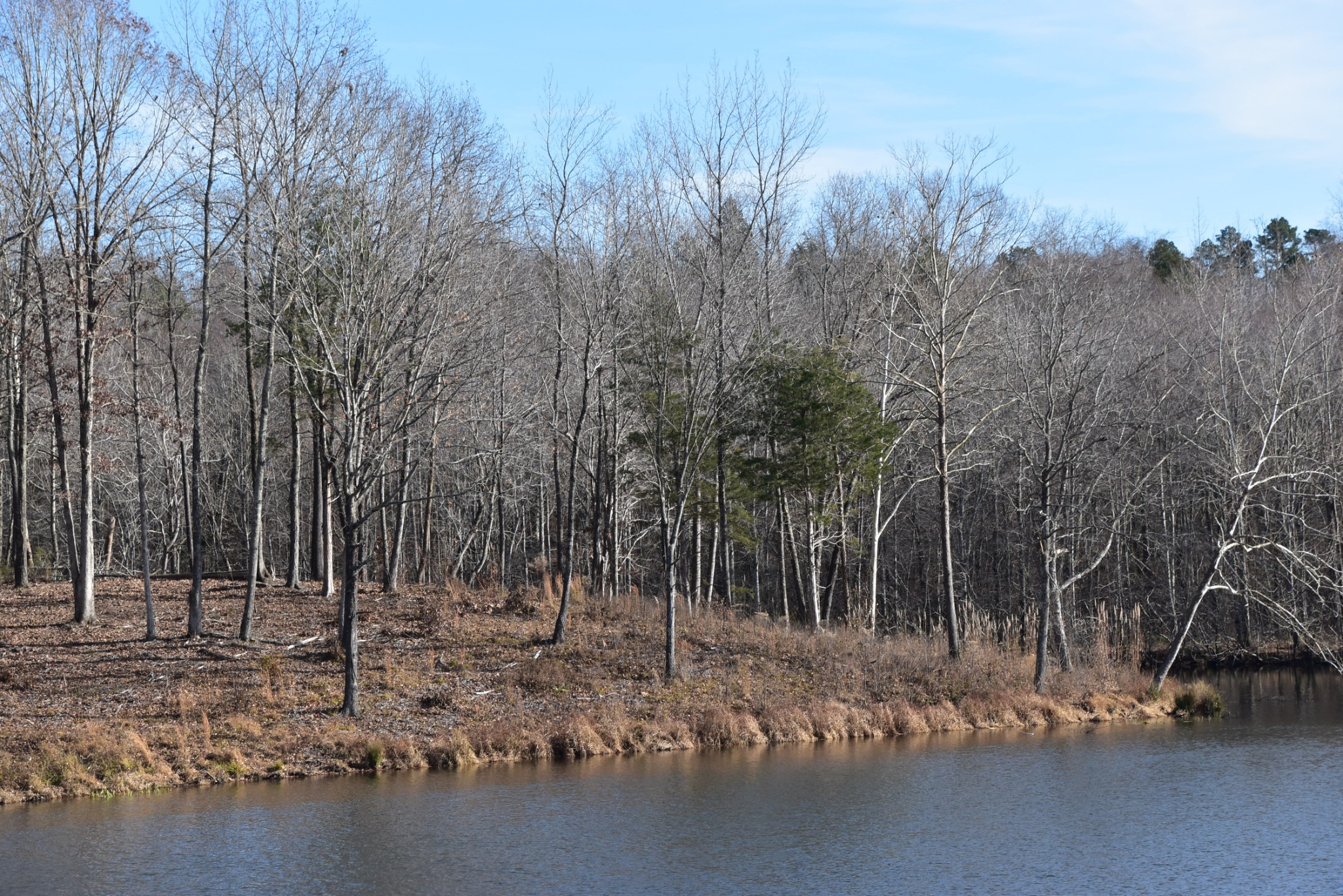 0 Interstate 40 Property Photo 6