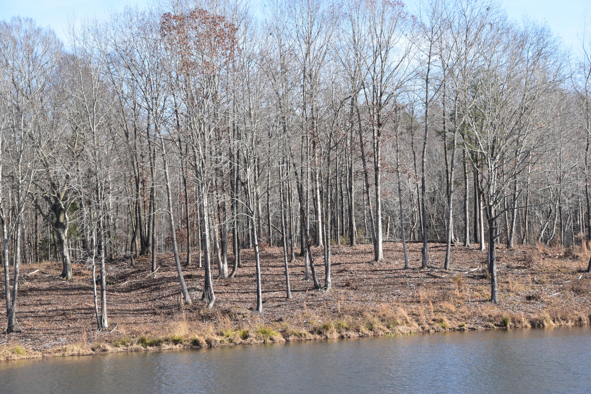 0 Interstate 40 Property Photo 11