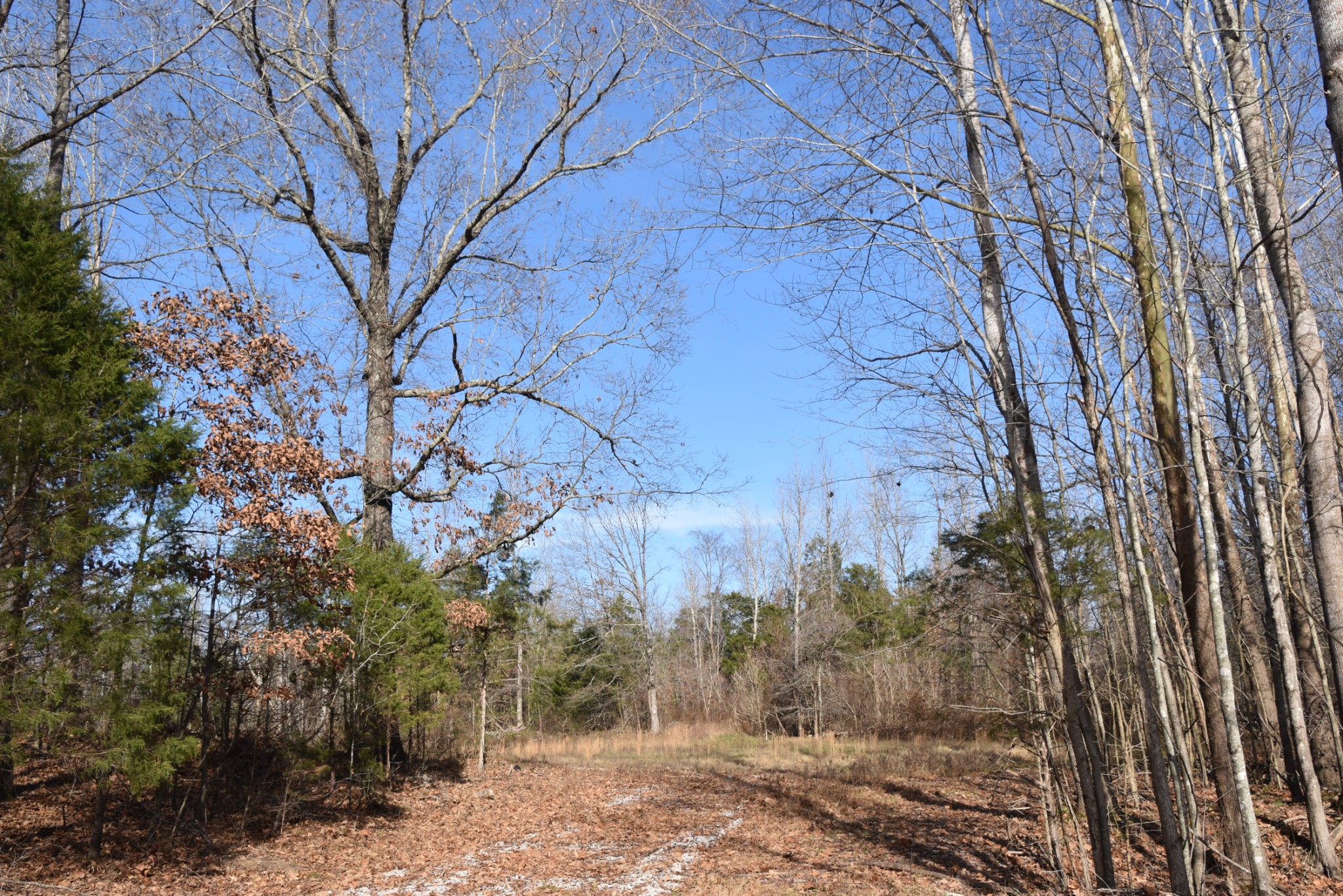 0 Interstate 40 Property Photo 13