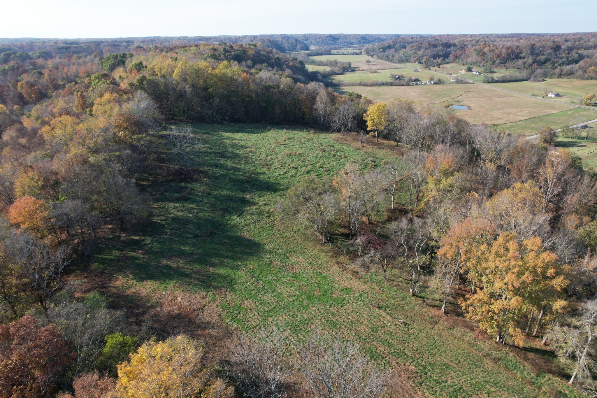 1 Weakley Creek Rd Property Photo 7