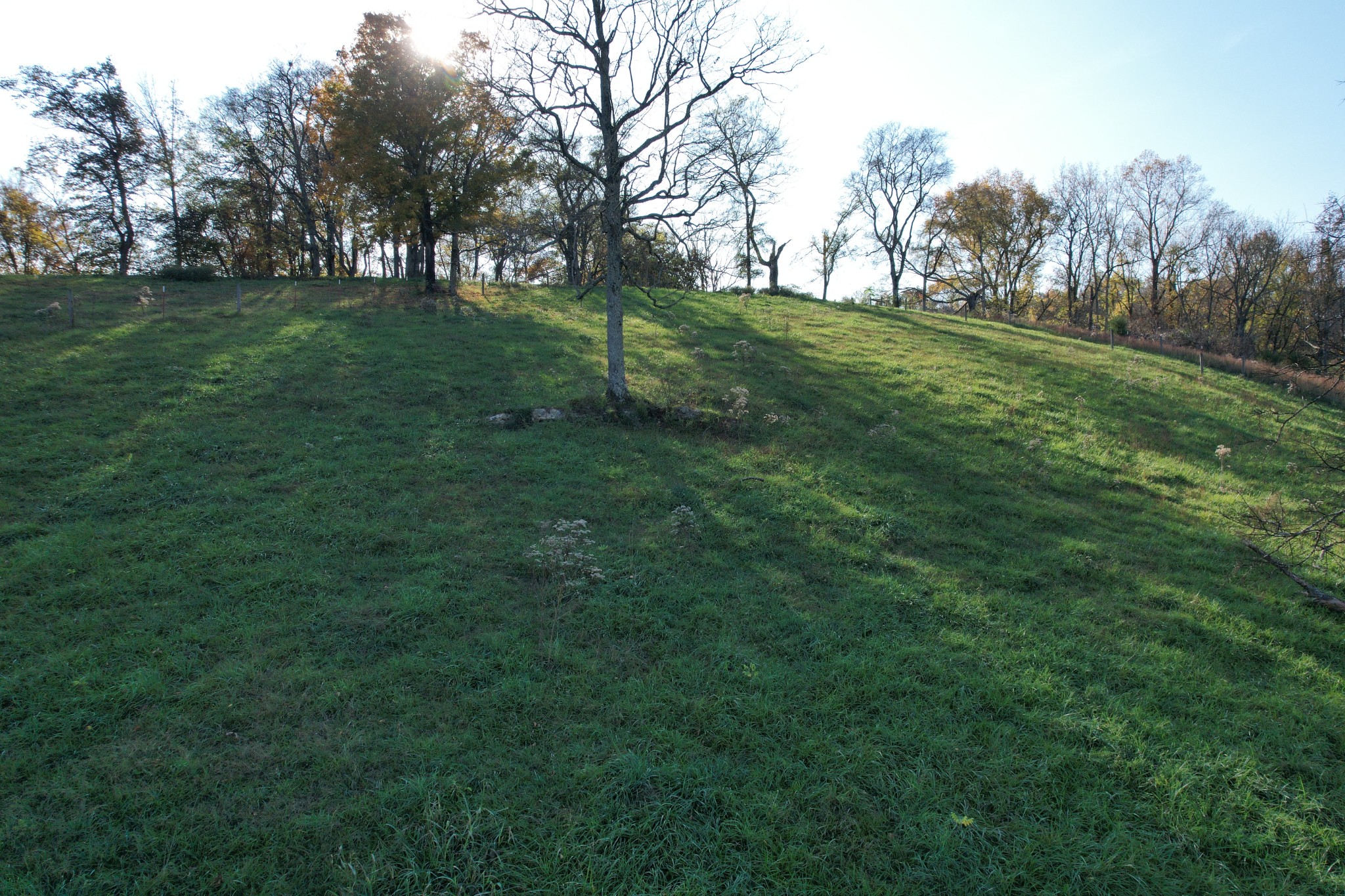1 Weakley Creek Rd Property Photo 17