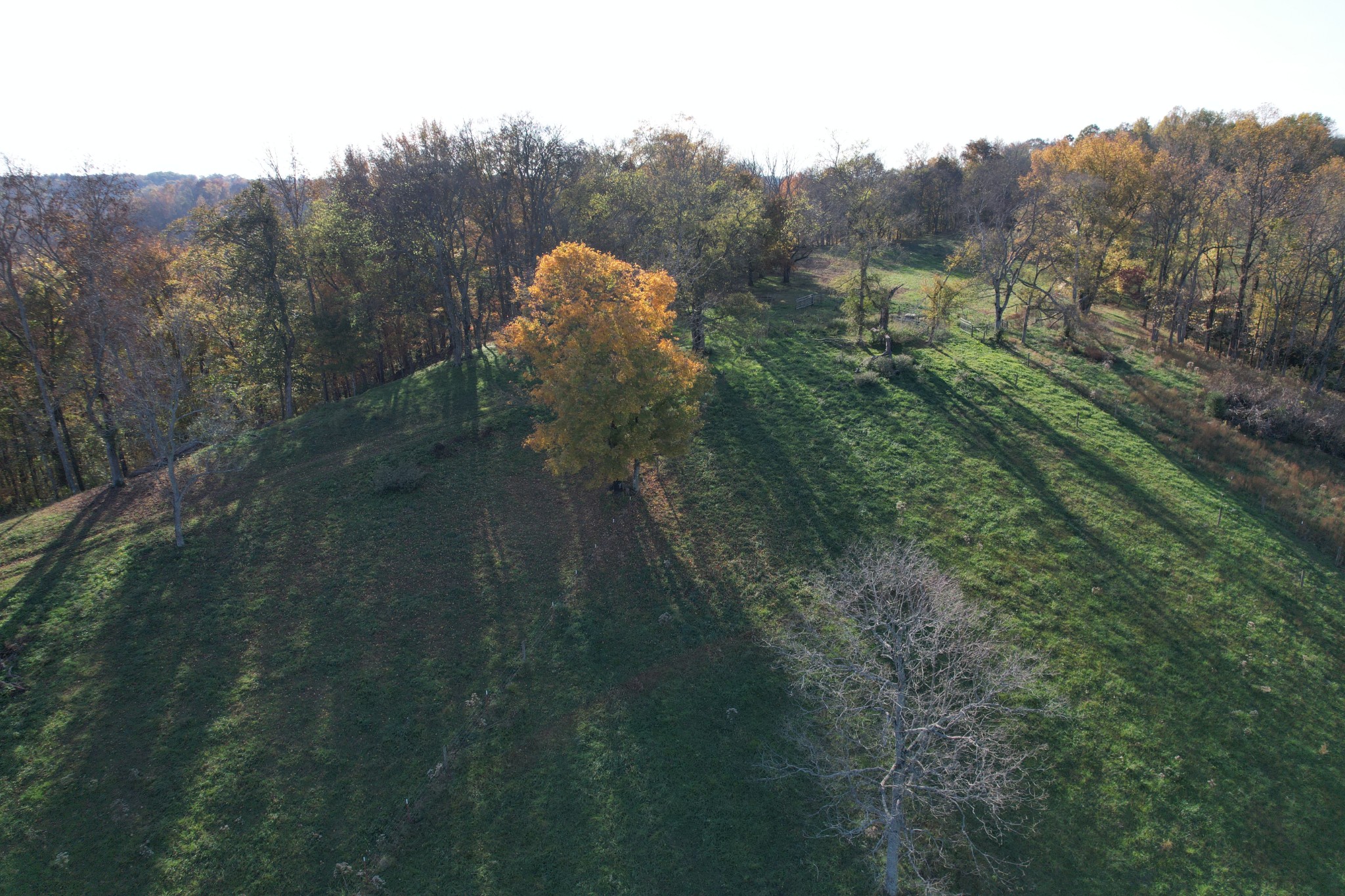 1 Weakley Creek Rd Property Photo 18