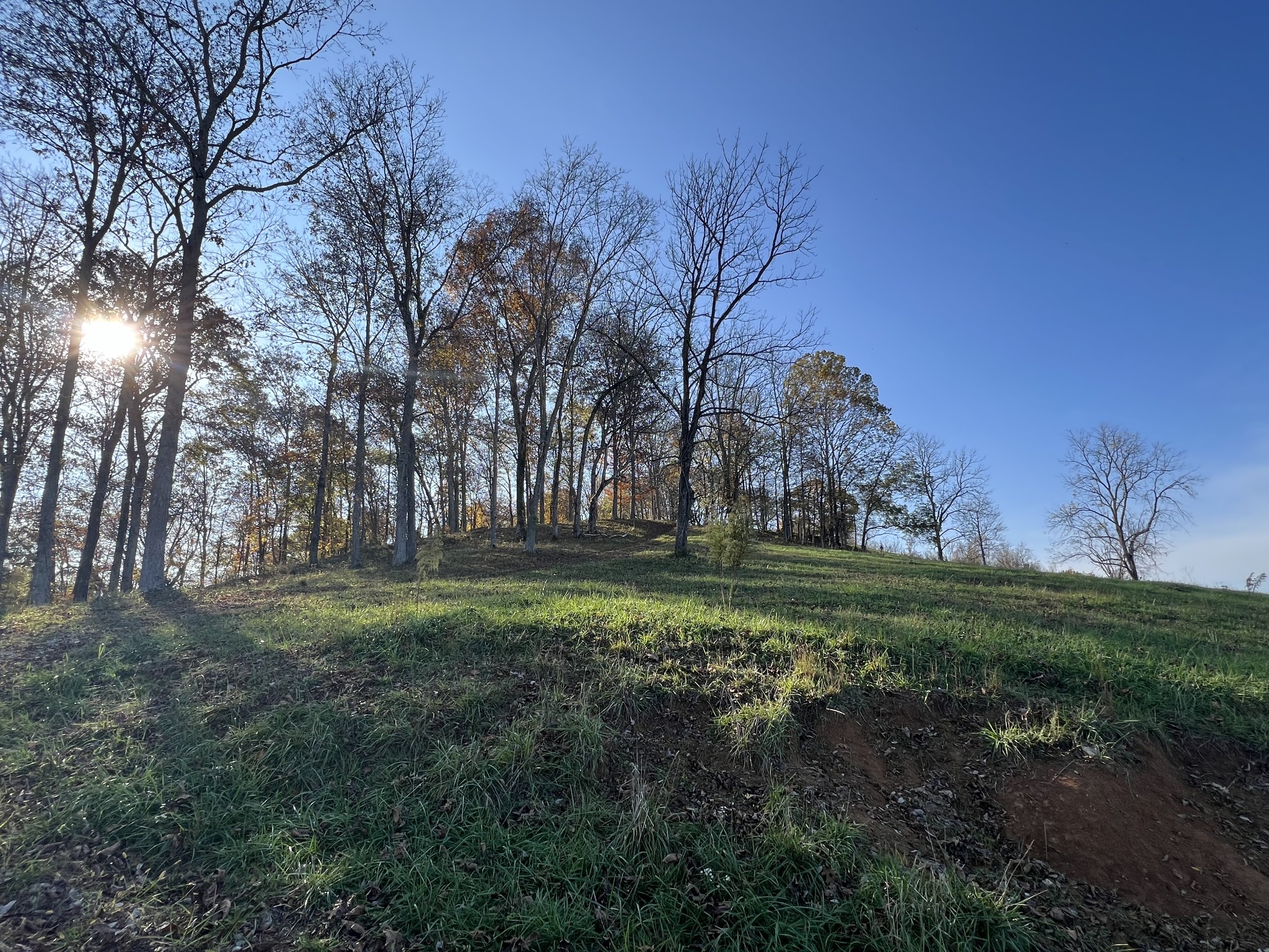 1 Weakley Creek Rd Property Photo 20