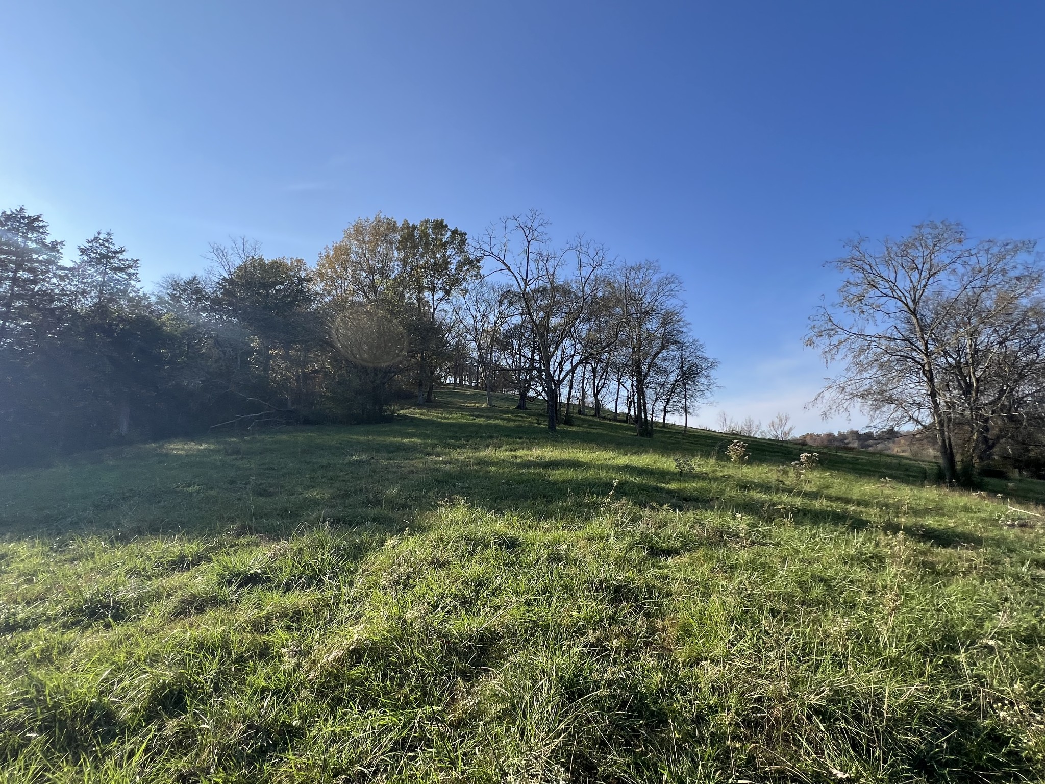 1 Weakley Creek Rd Property Photo 21