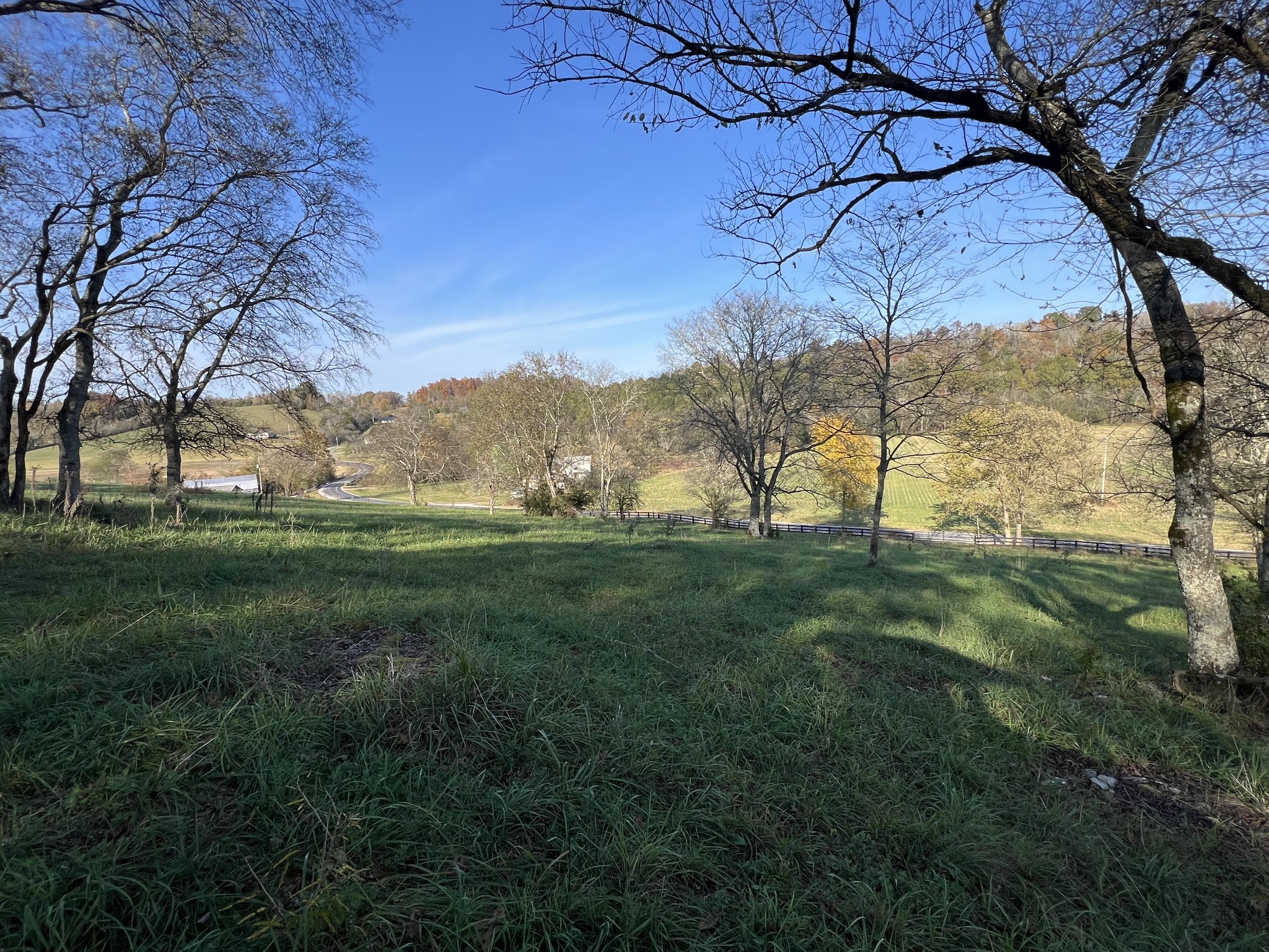1 Weakley Creek Rd Property Photo 23