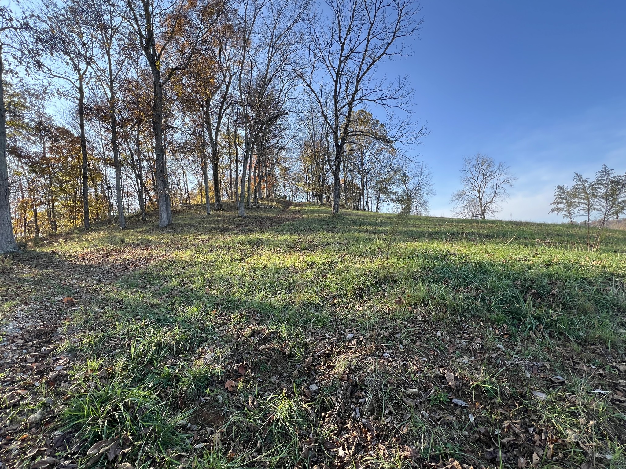 1 Weakley Creek Rd Property Photo 24