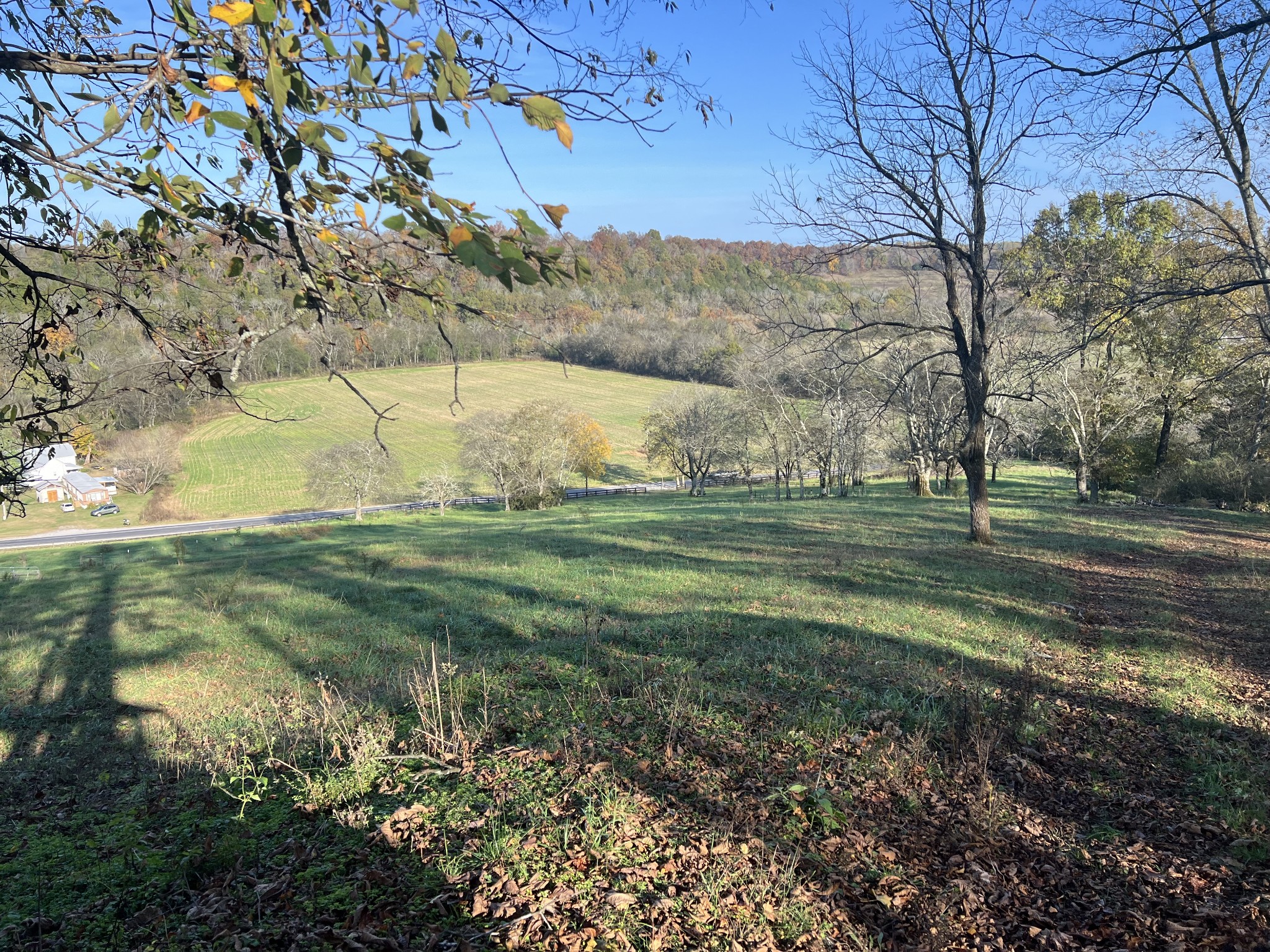1 Weakley Creek Rd Property Photo 28