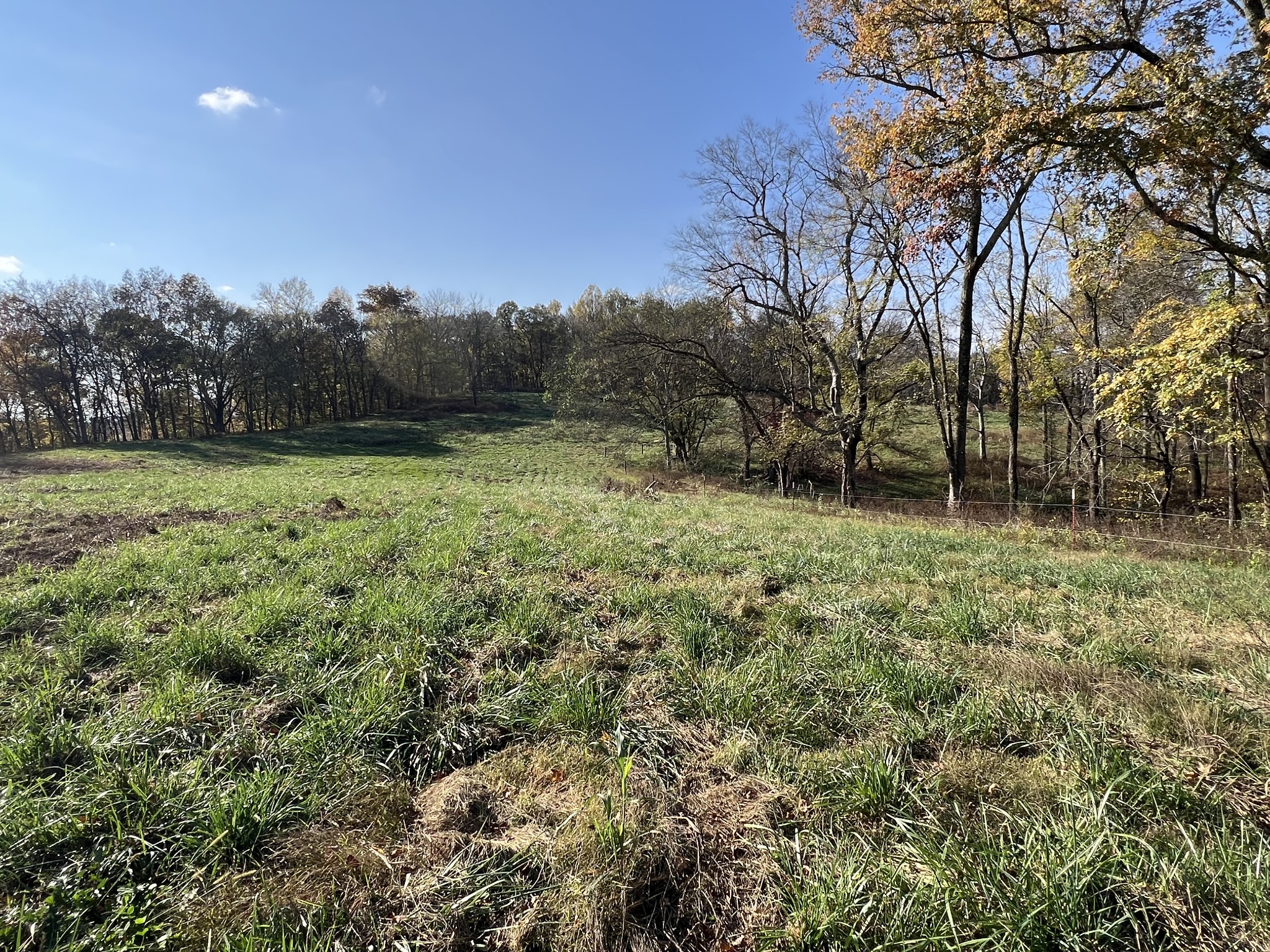 1 Weakley Creek Rd Property Photo 30