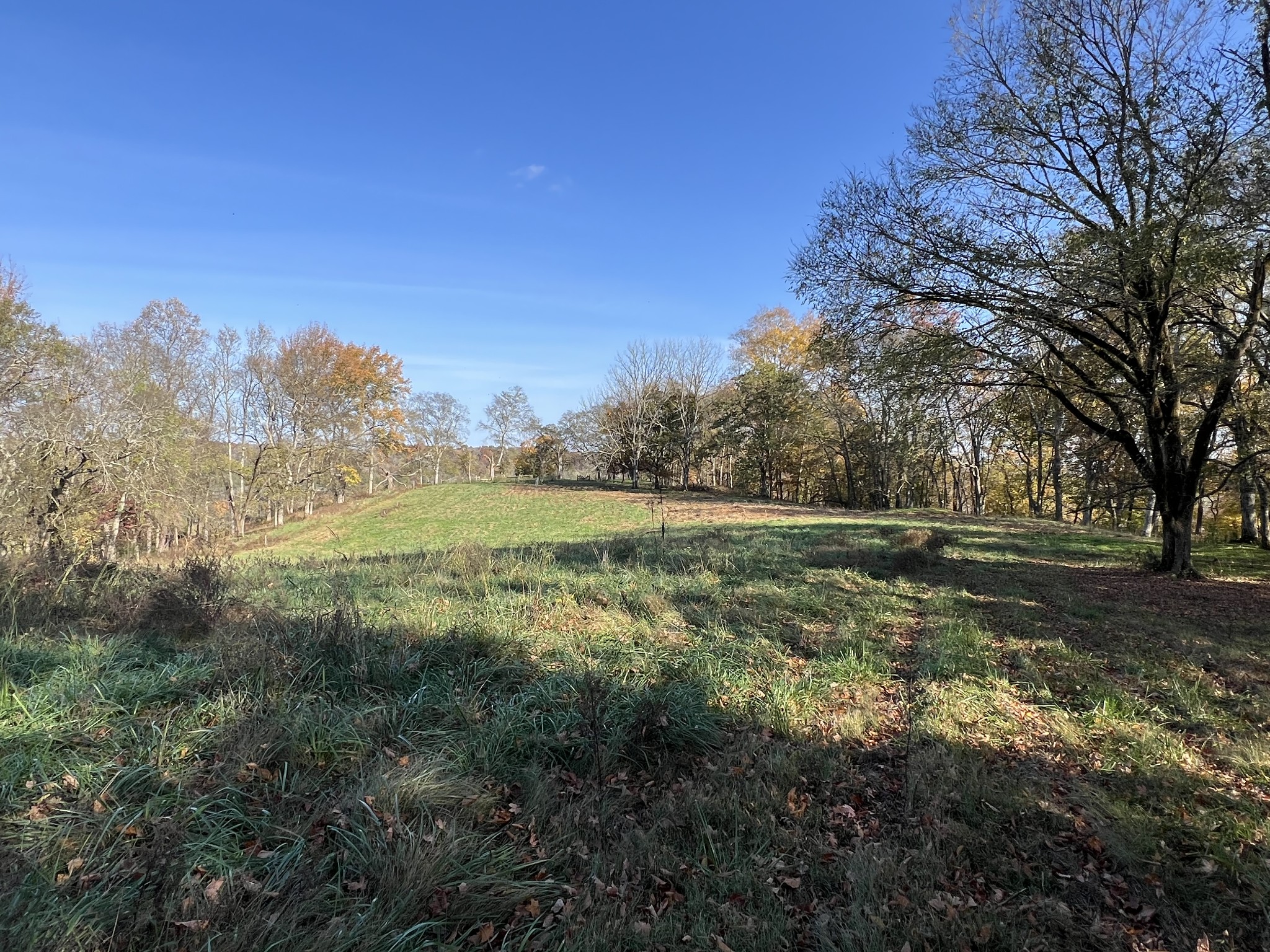 1 Weakley Creek Rd Property Photo 31